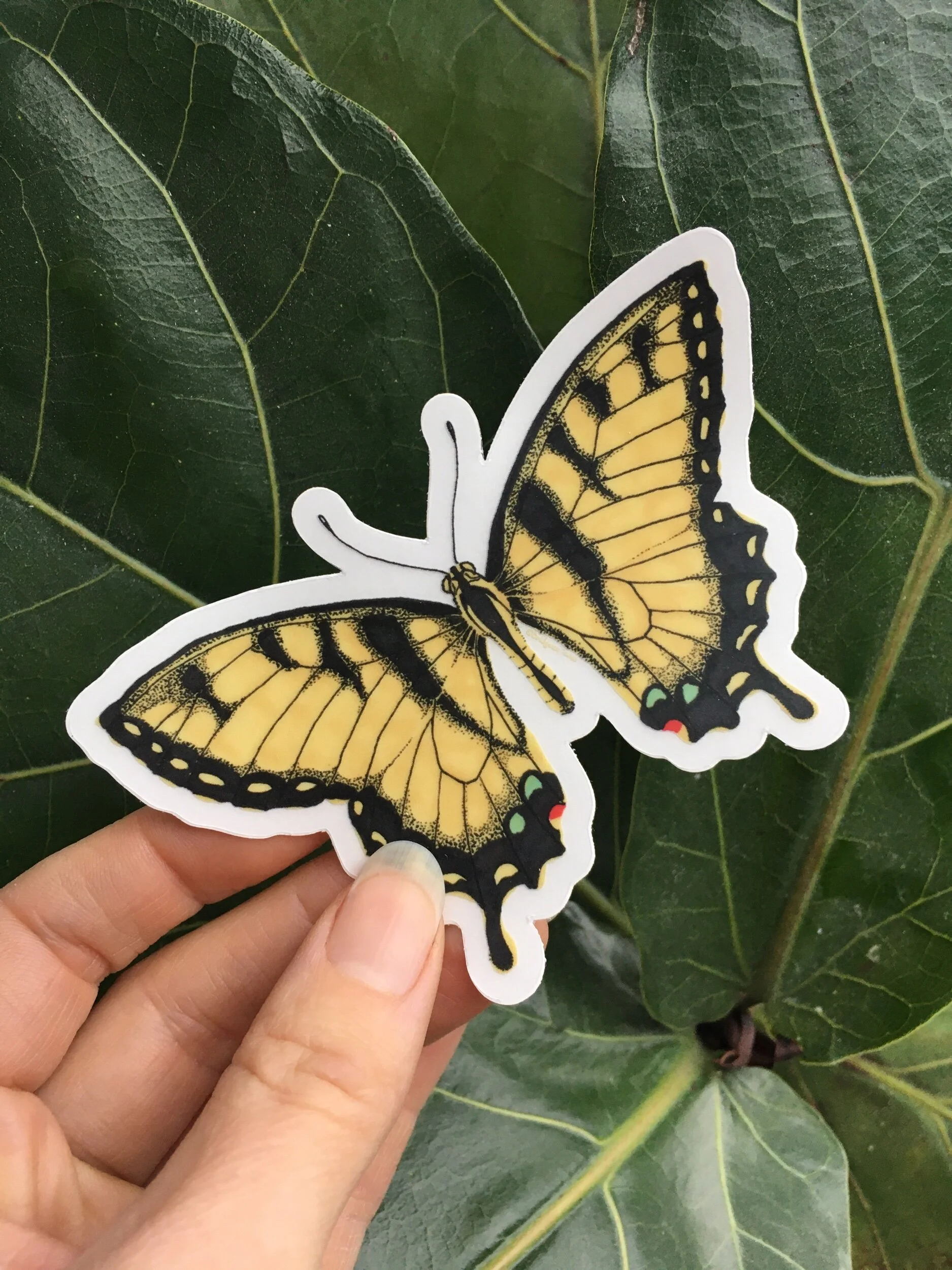 8630462B-400F-4FD6-90F7-BB5152841742