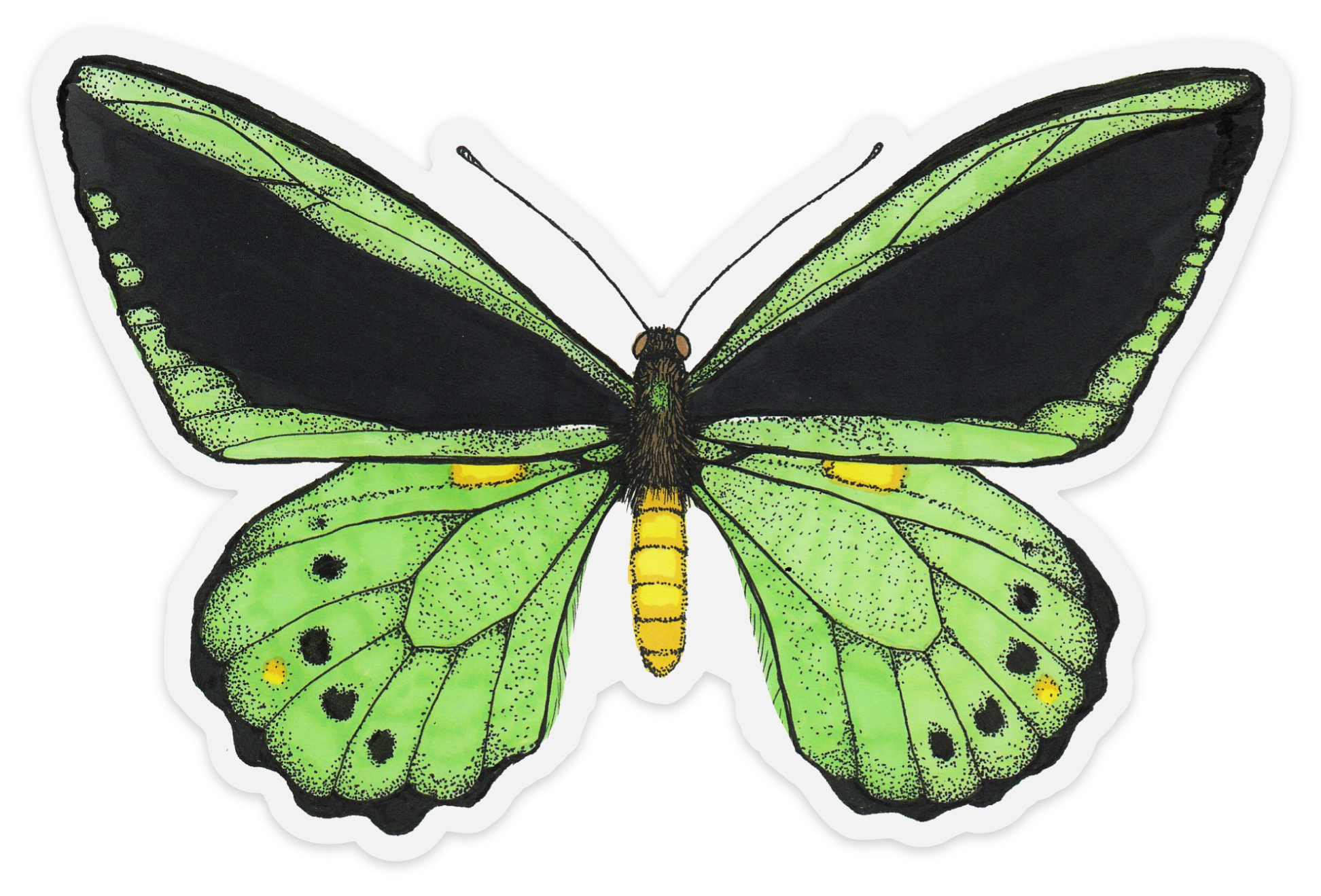 8FAF3935-E2E8-4BB3-8CA4-573757E0948C