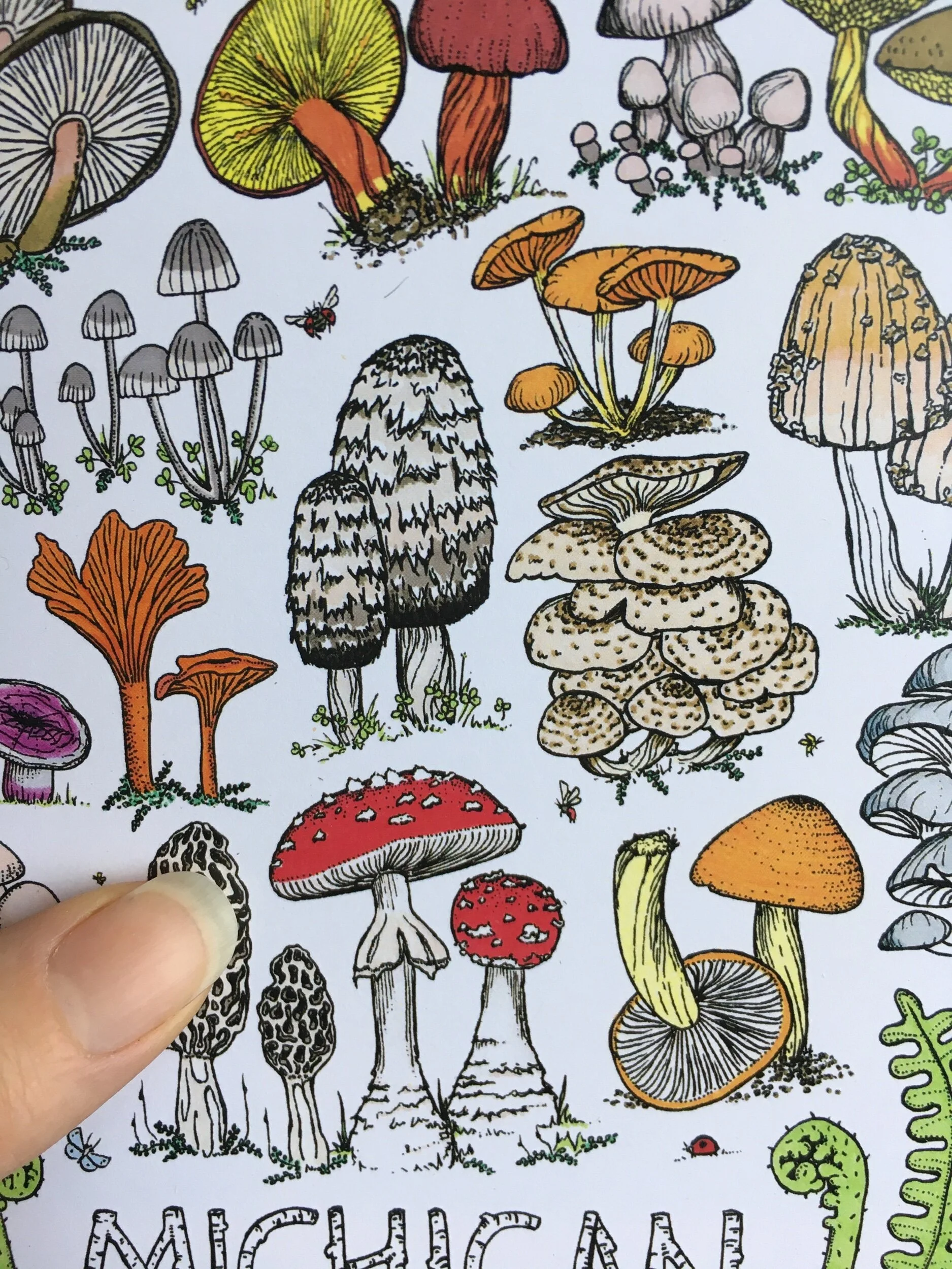 8570F174-D62E-4EE7-AFD7-EE2BF03EF7FA