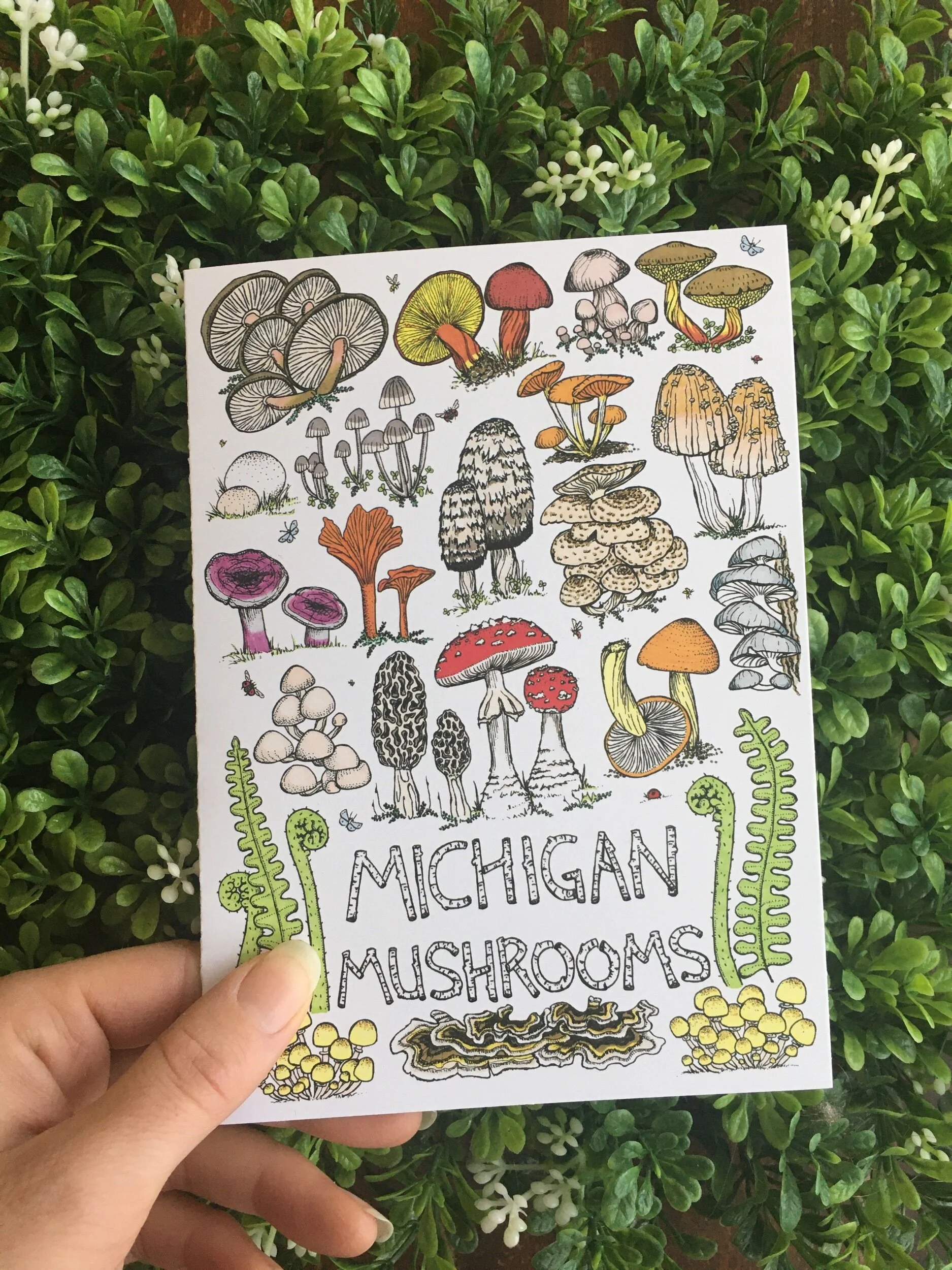 868E6A6B-546C-4BDE-ADA6-EC4BF951BBED