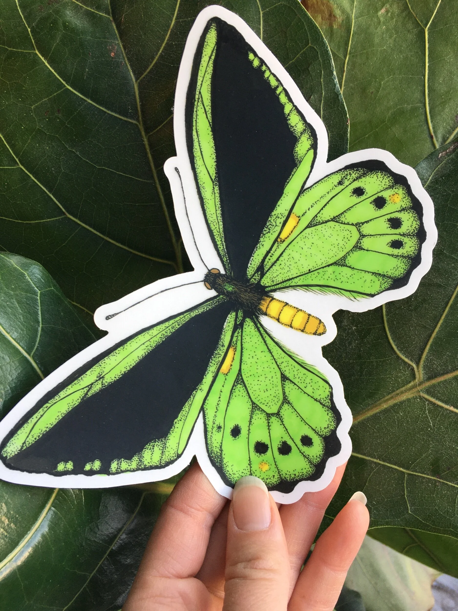 D06674EB-42D8-4B49-AEAE-34EF227BF68A