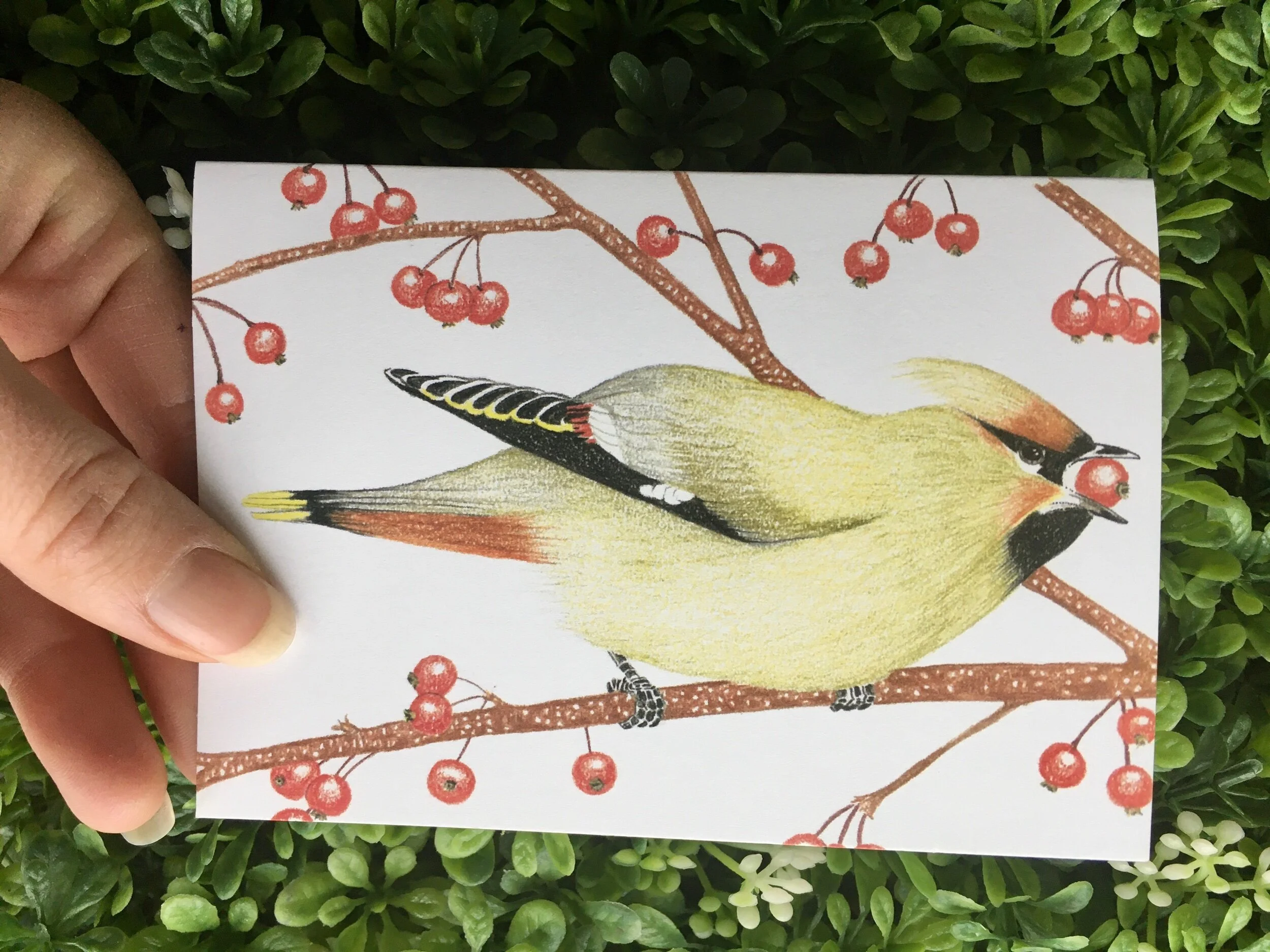 19962DE1-F781-430C-83A6-A17573EBC916