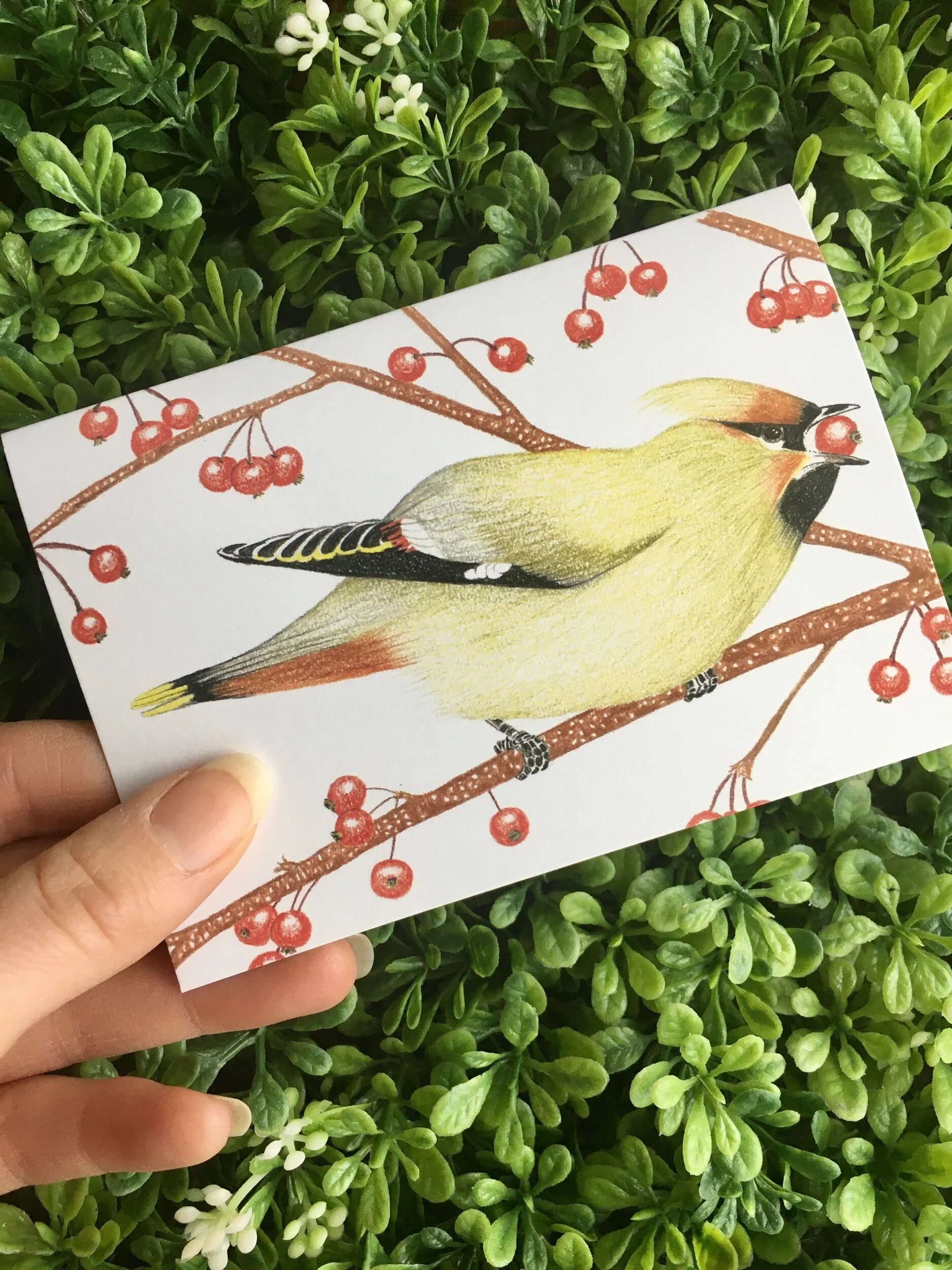 6808A7F4-7B52-461F-B46F-4EACF9DF14D1