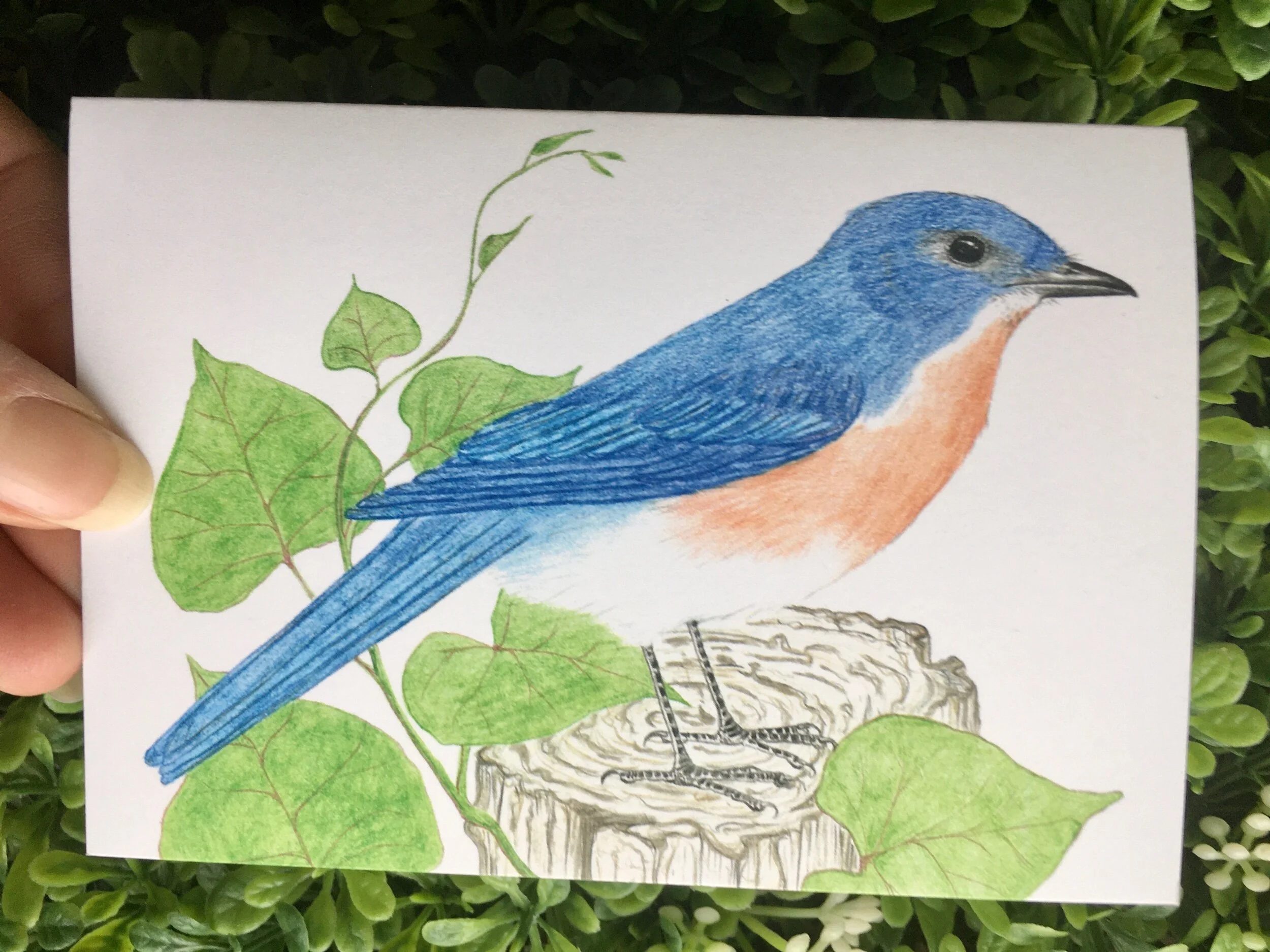 92BE3C83-FAF9-4D77-AB54-E007BBF4CB23