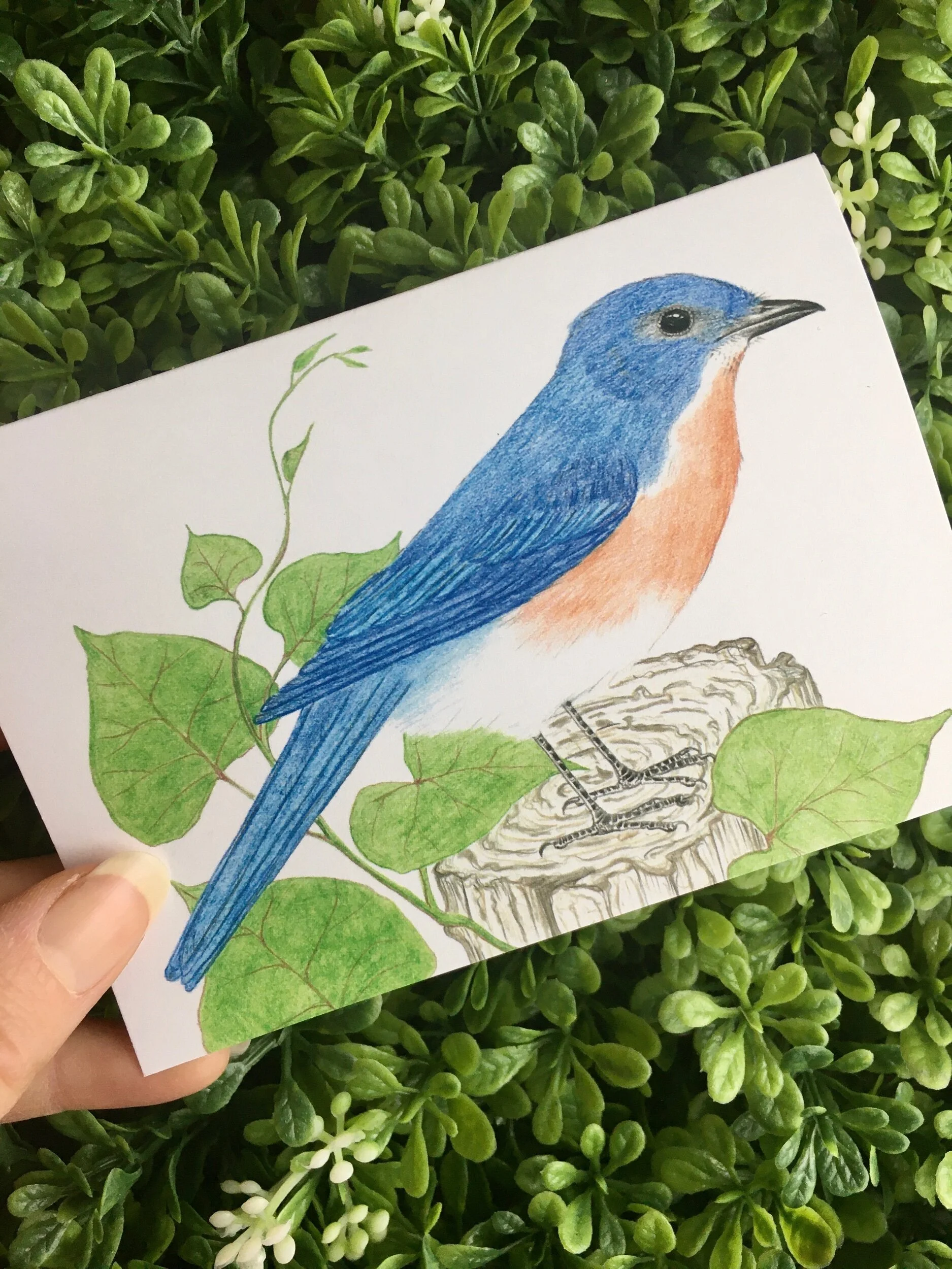 C7152283-70E2-4CEE-9946-E294CB1F3AE8