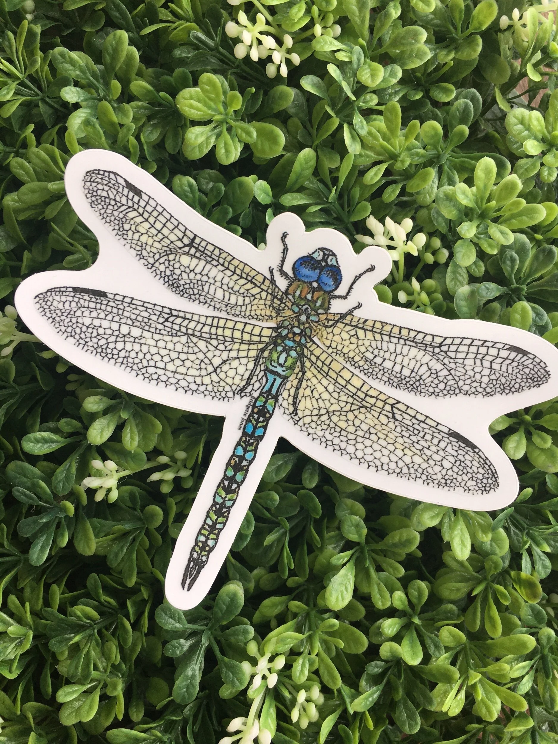 7682E7F4-5D06-4059-9C31-E2DB94D2A40C