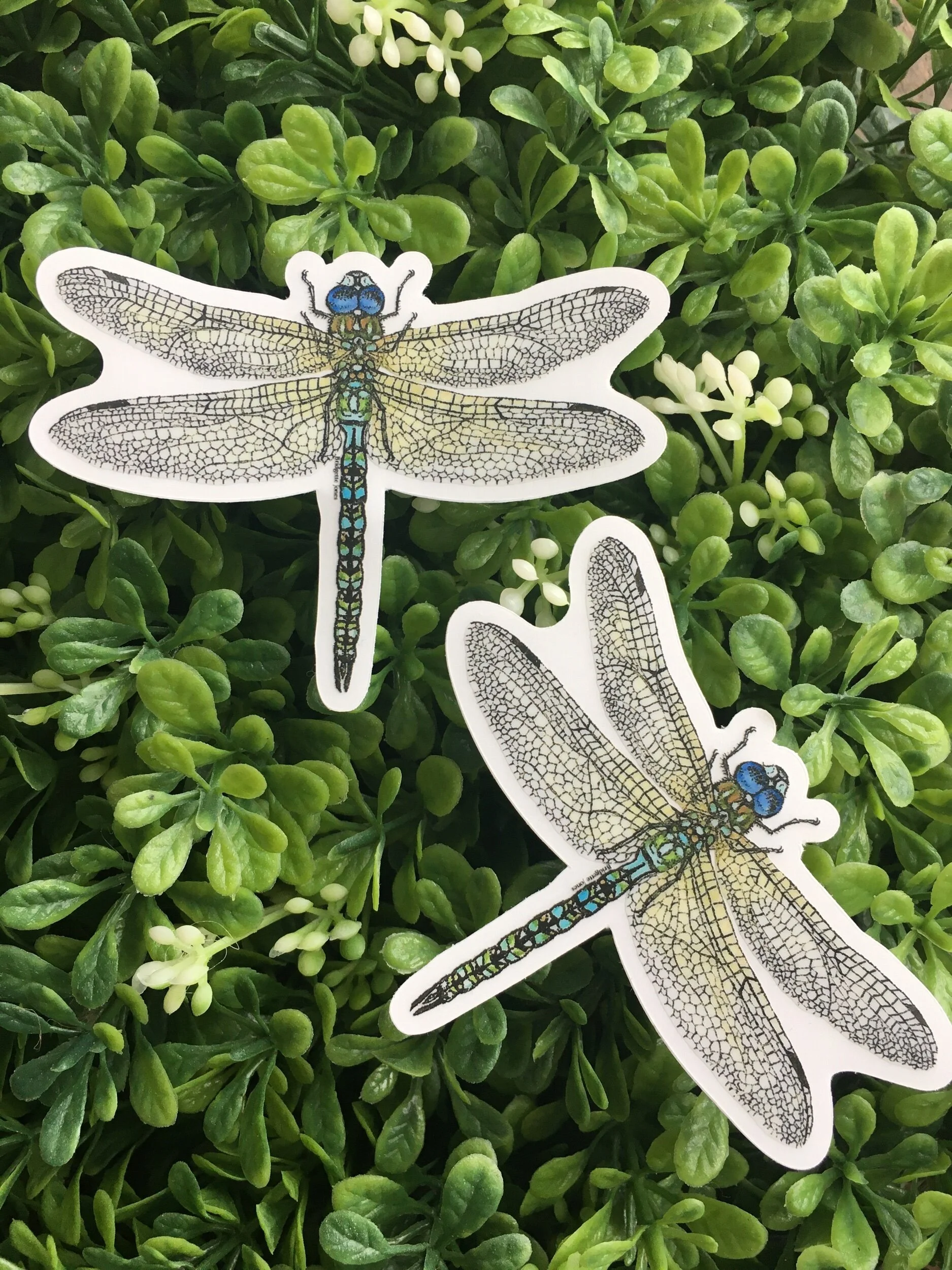 384F6DF0-8F4D-4E03-9C47-8739CE9CE3C1