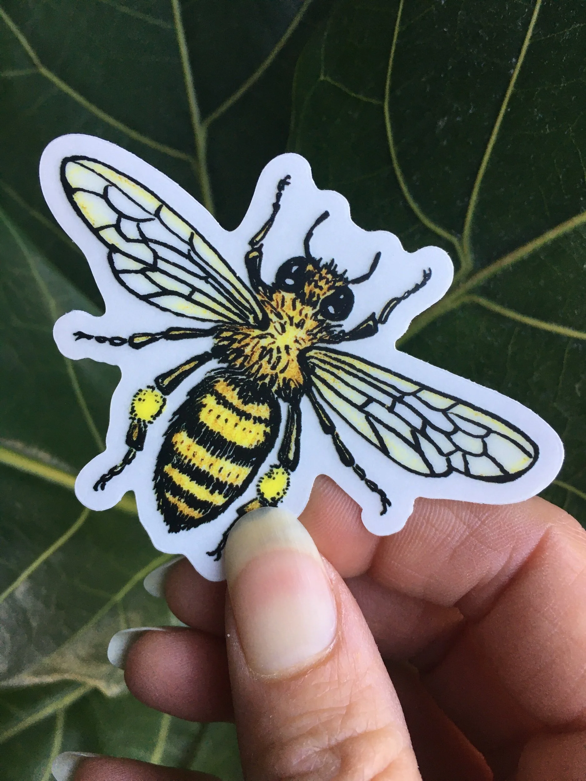 D92C8E62-CB31-4EC8-80D3-990E801568D1