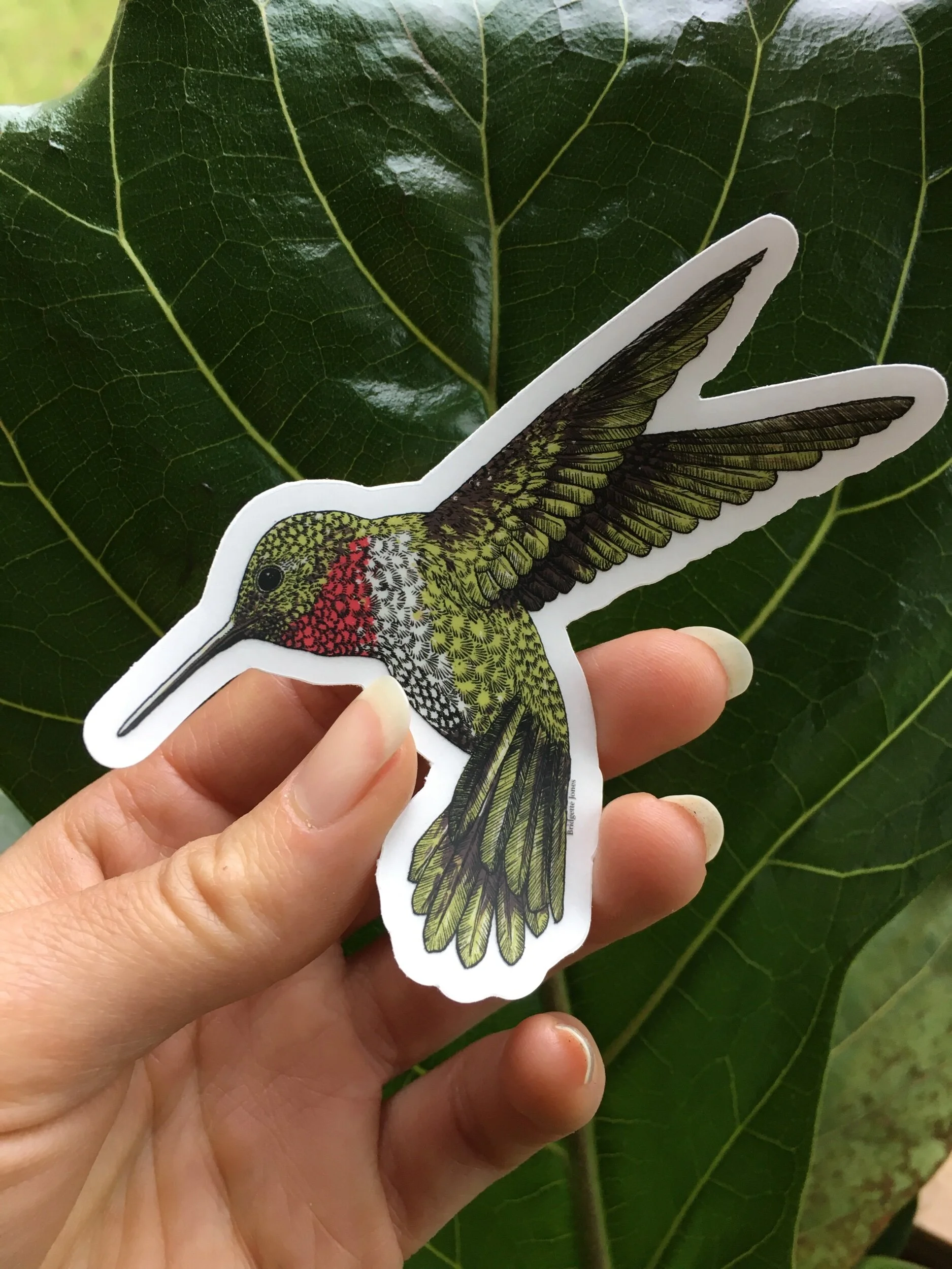 6255254A-D83B-4F3E-8354-5C732955CC06