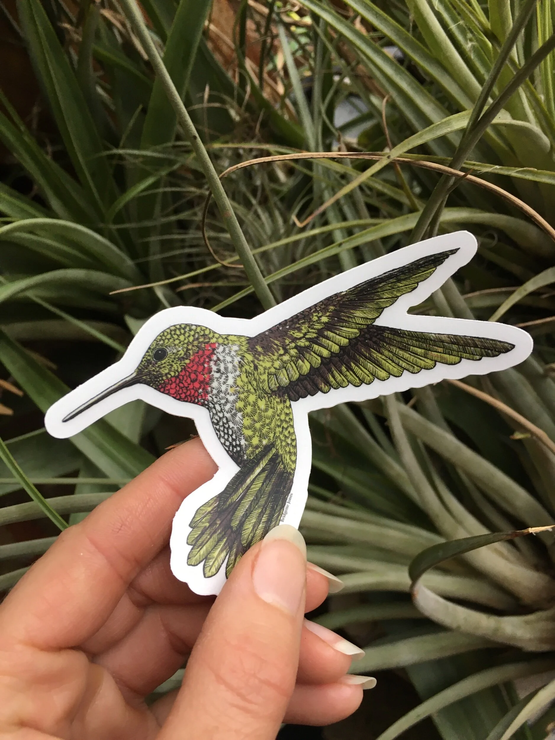 A6E838F2-4294-4D90-9AF6-537FEBF84675