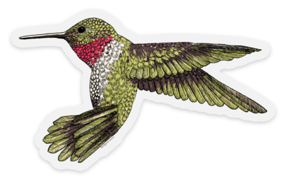 hummingbirdstickermuleimage.png