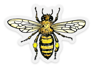 newest bee sticker mule image.png