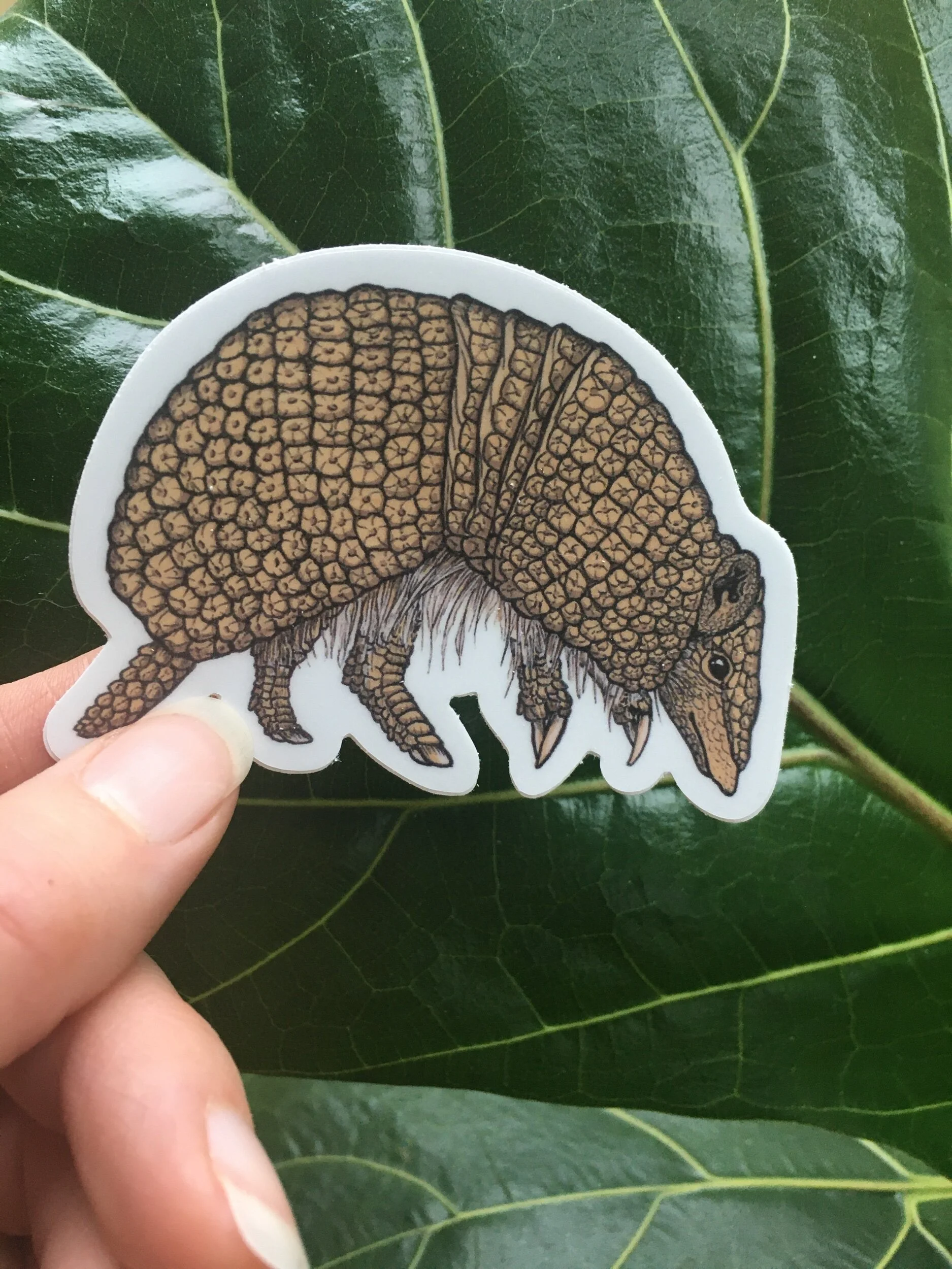 9A056D26-2889-4367-ACA9-7E218D172FD0