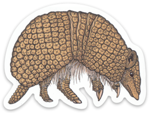 armadillo sticker mule.png