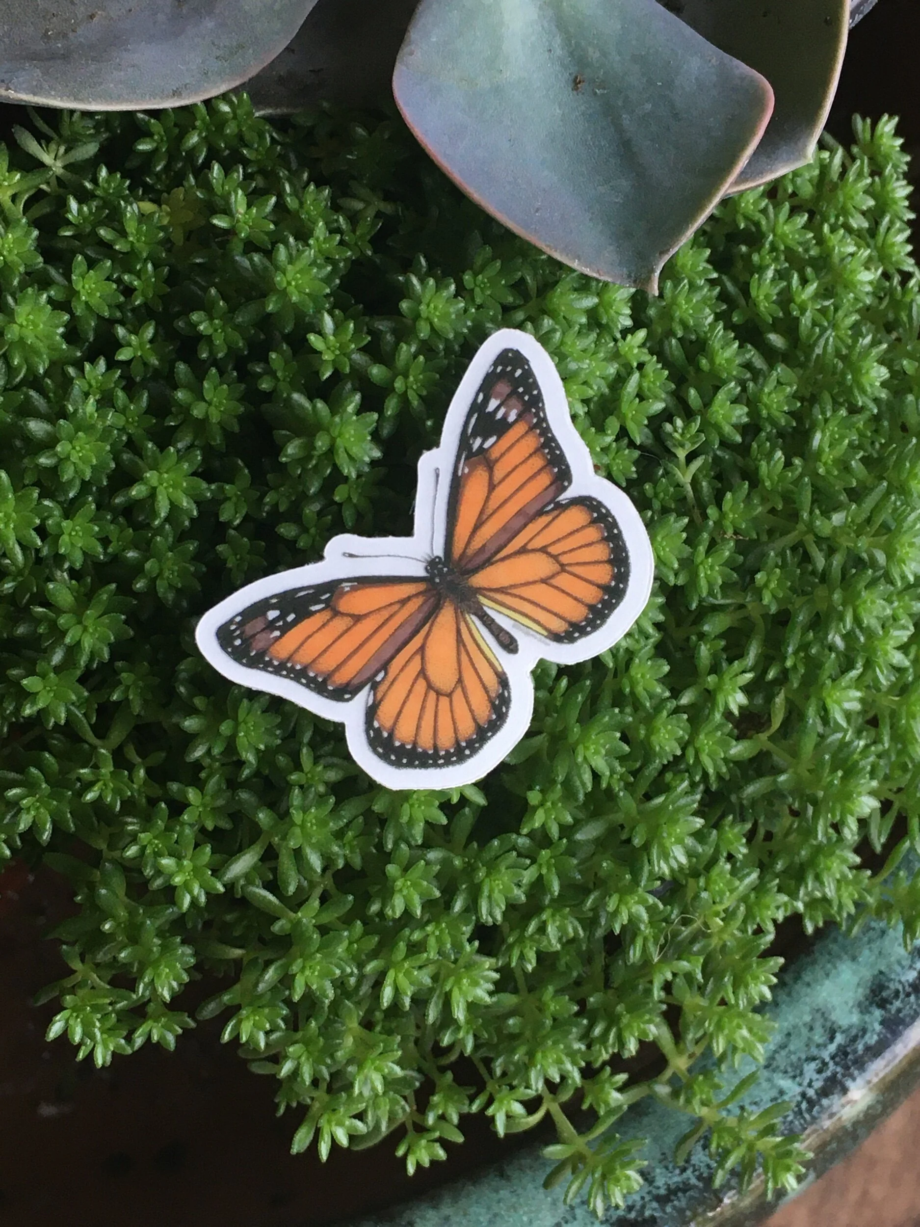 2C78C4B3-ED15-4045-BCB1-6CA416751FB3