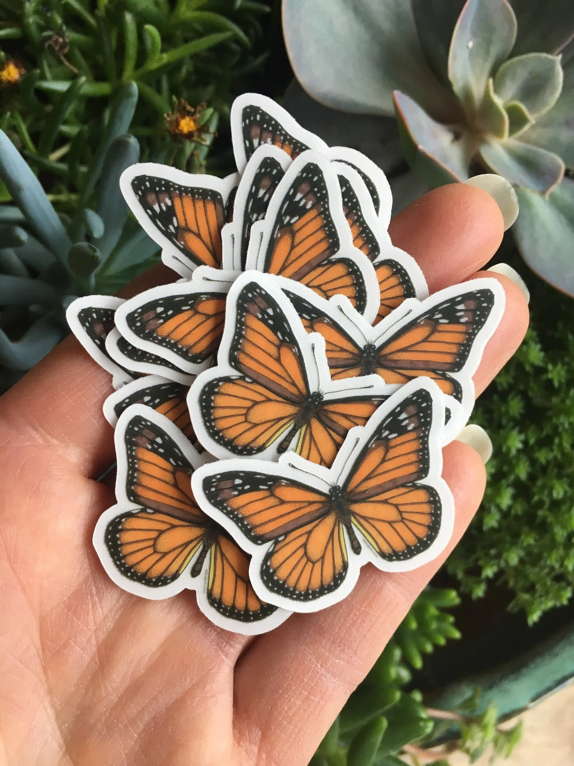 35411B62-F9C7-48F6-B6B8-44B051C3ECE3