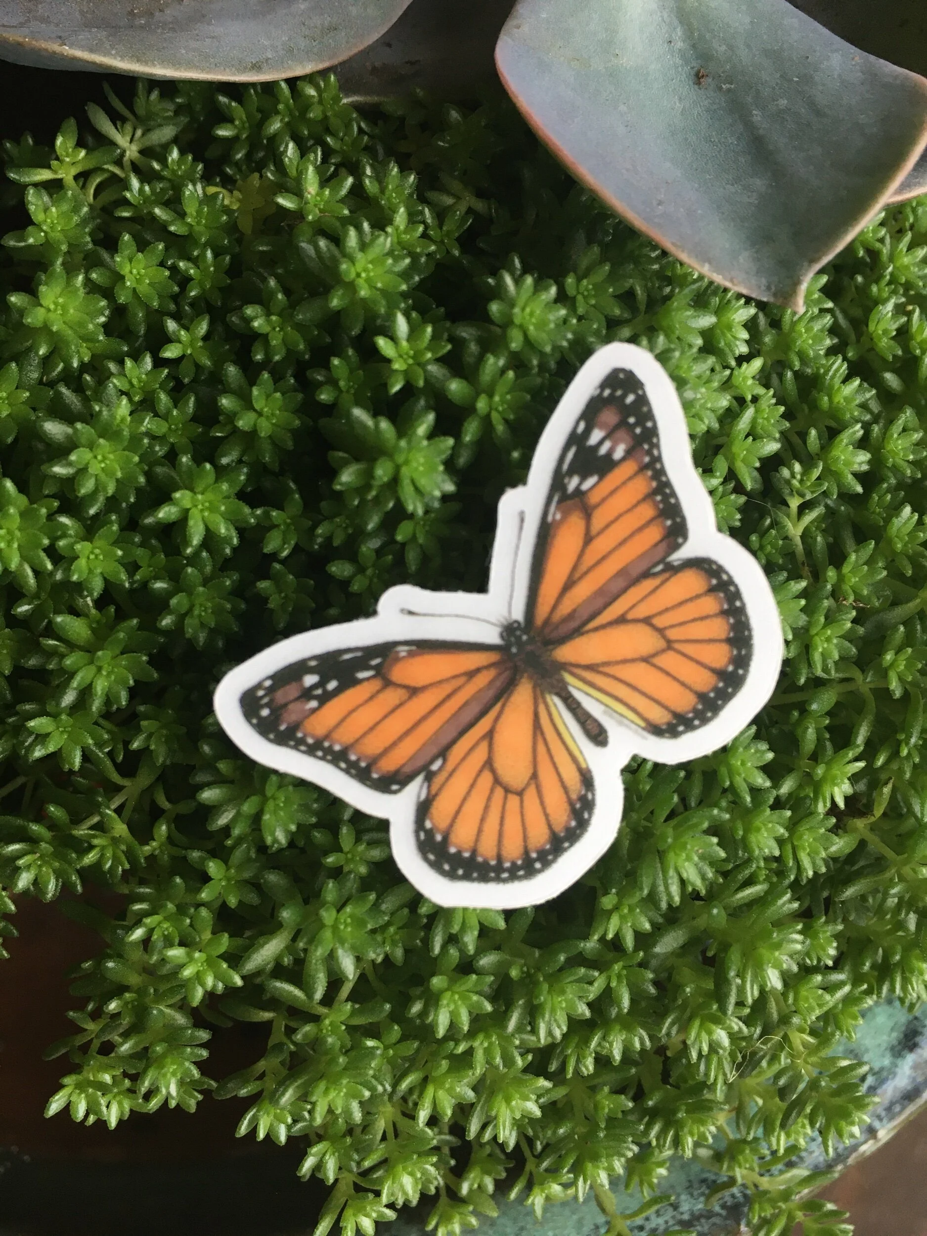 F10C0E4A-E1CD-4165-B949-B3A6CBE485D9