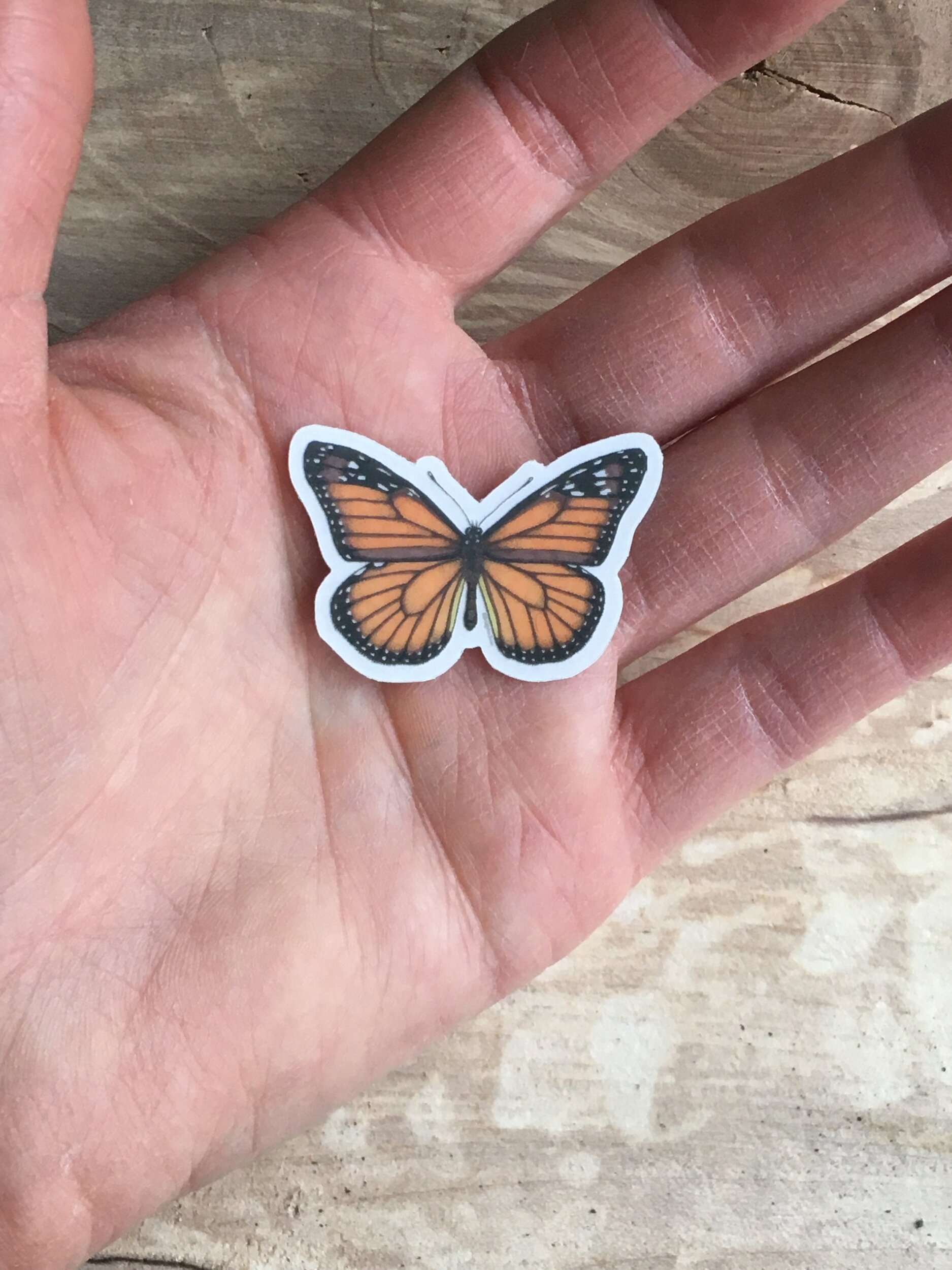 533415B9-B6CD-470F-8752-C02DCD621462