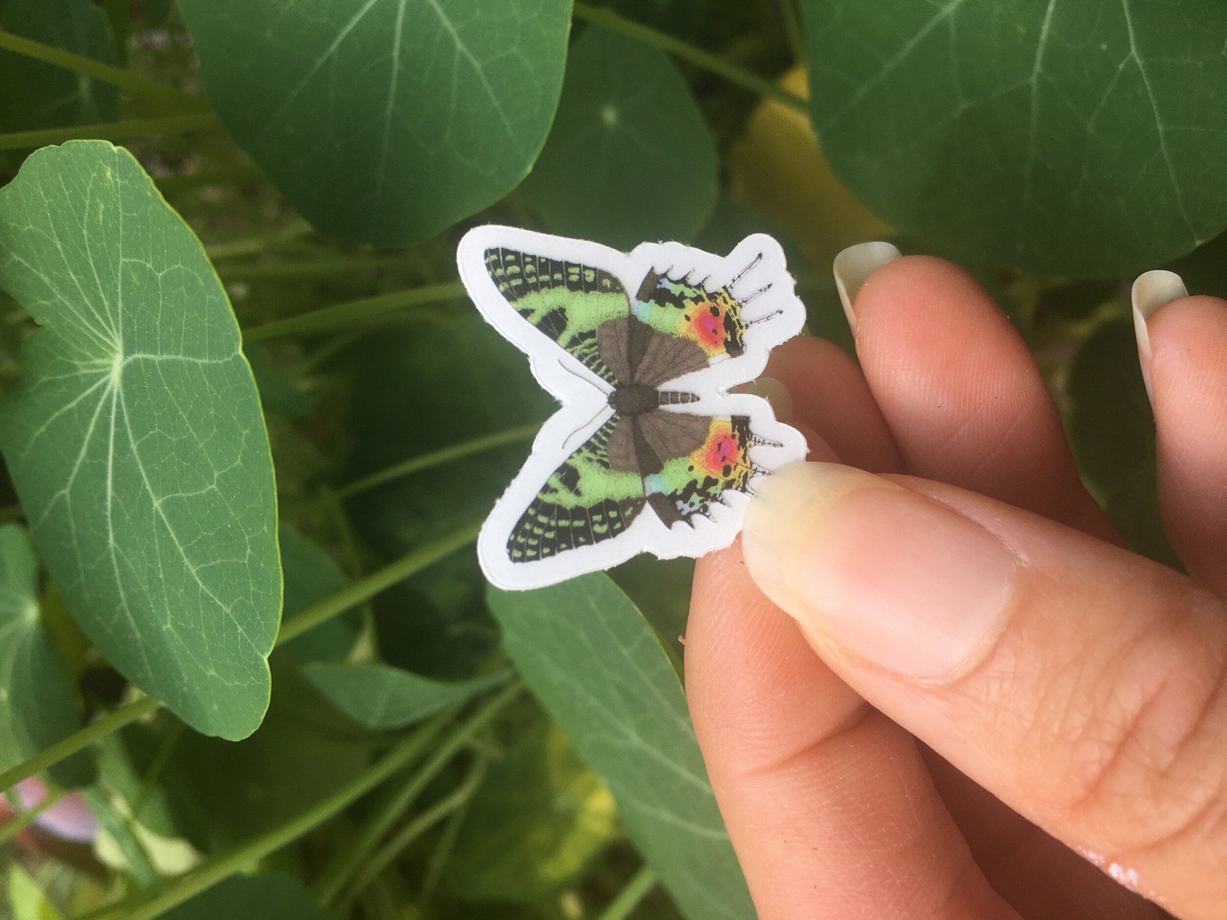 B9AEC407-85B0-4FC2-BDF8-6767BEDD30B8