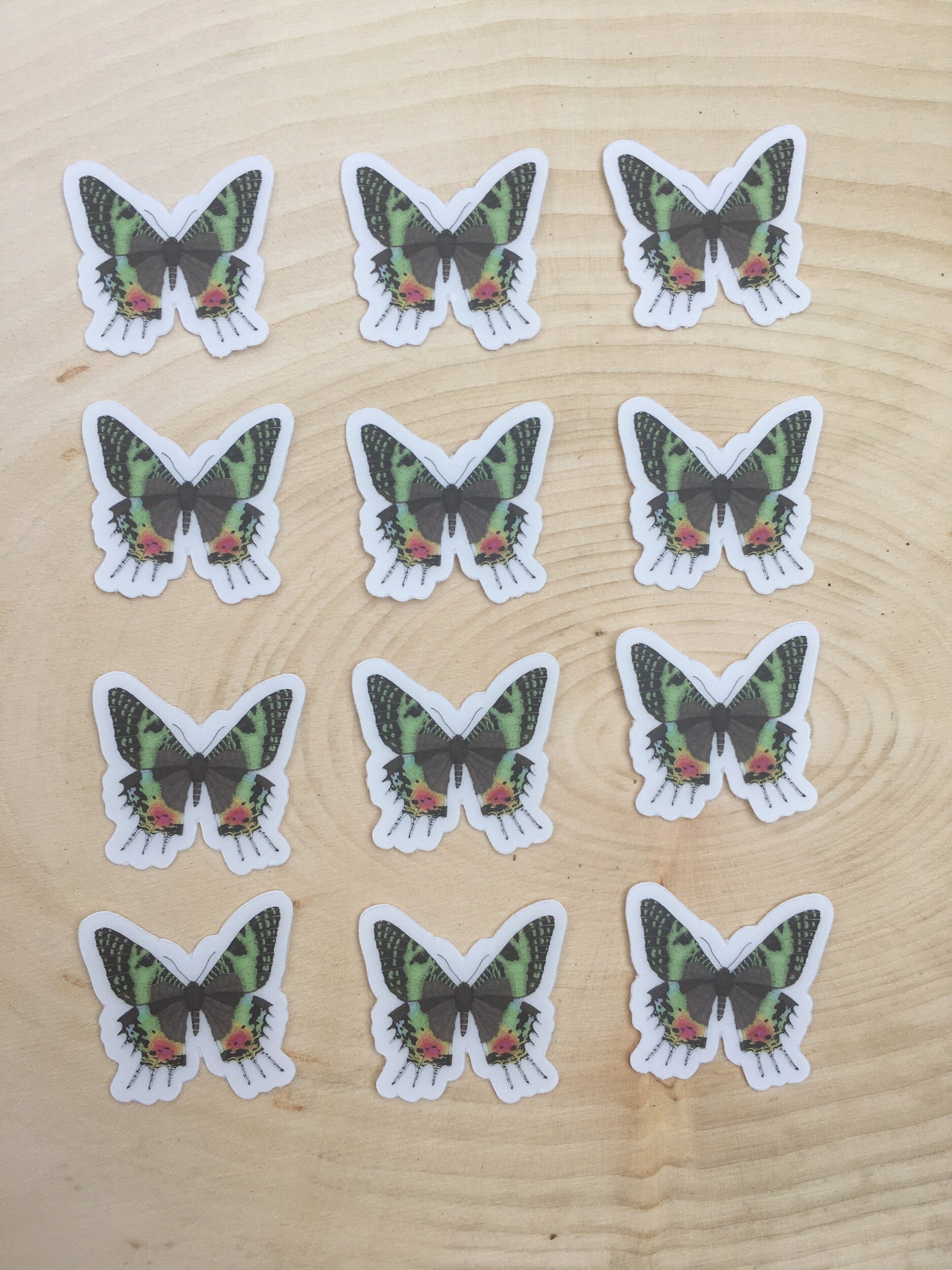 9FD91476-1EA1-4C50-8319-CC8CF7B958CB