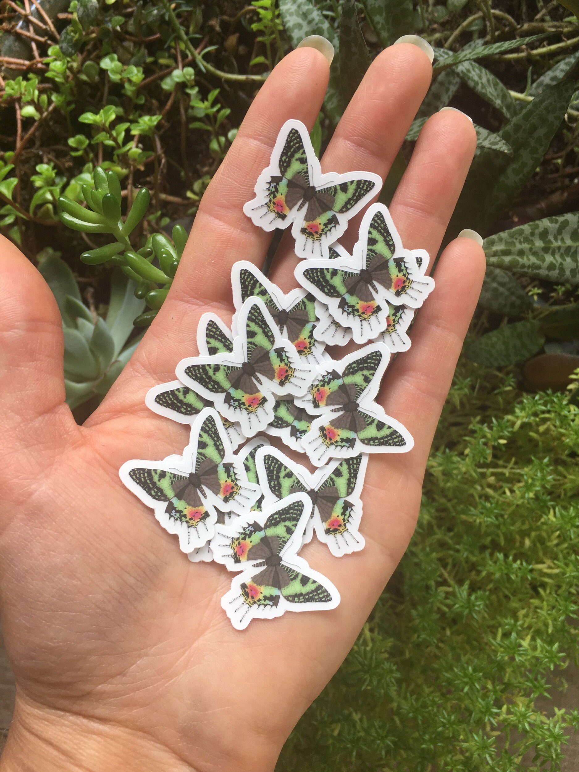 13575DDD-D758-4BCE-BD69-D418DC2F995C