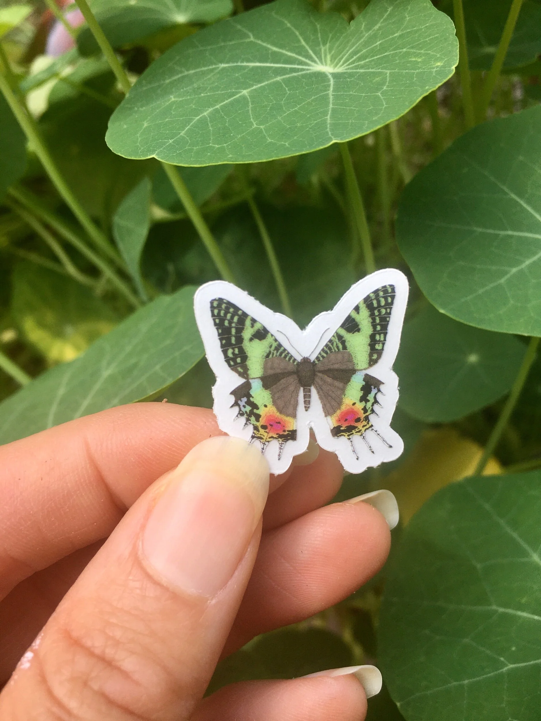 14DDB96E-D5B5-4E17-8AA8-739C74427F79