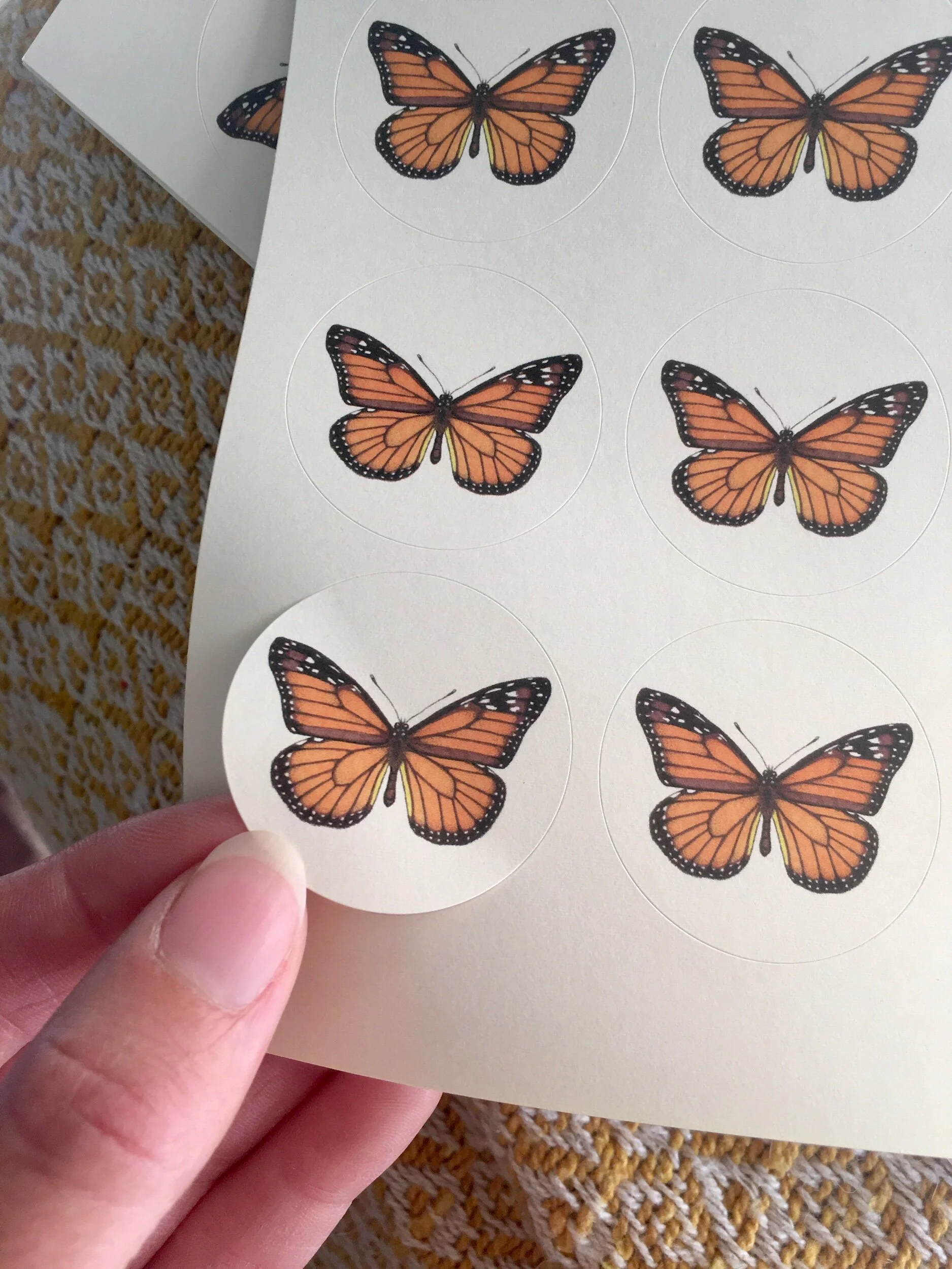 2D1A326B-F42E-4A5E-8AD3-0DDC4893CF30