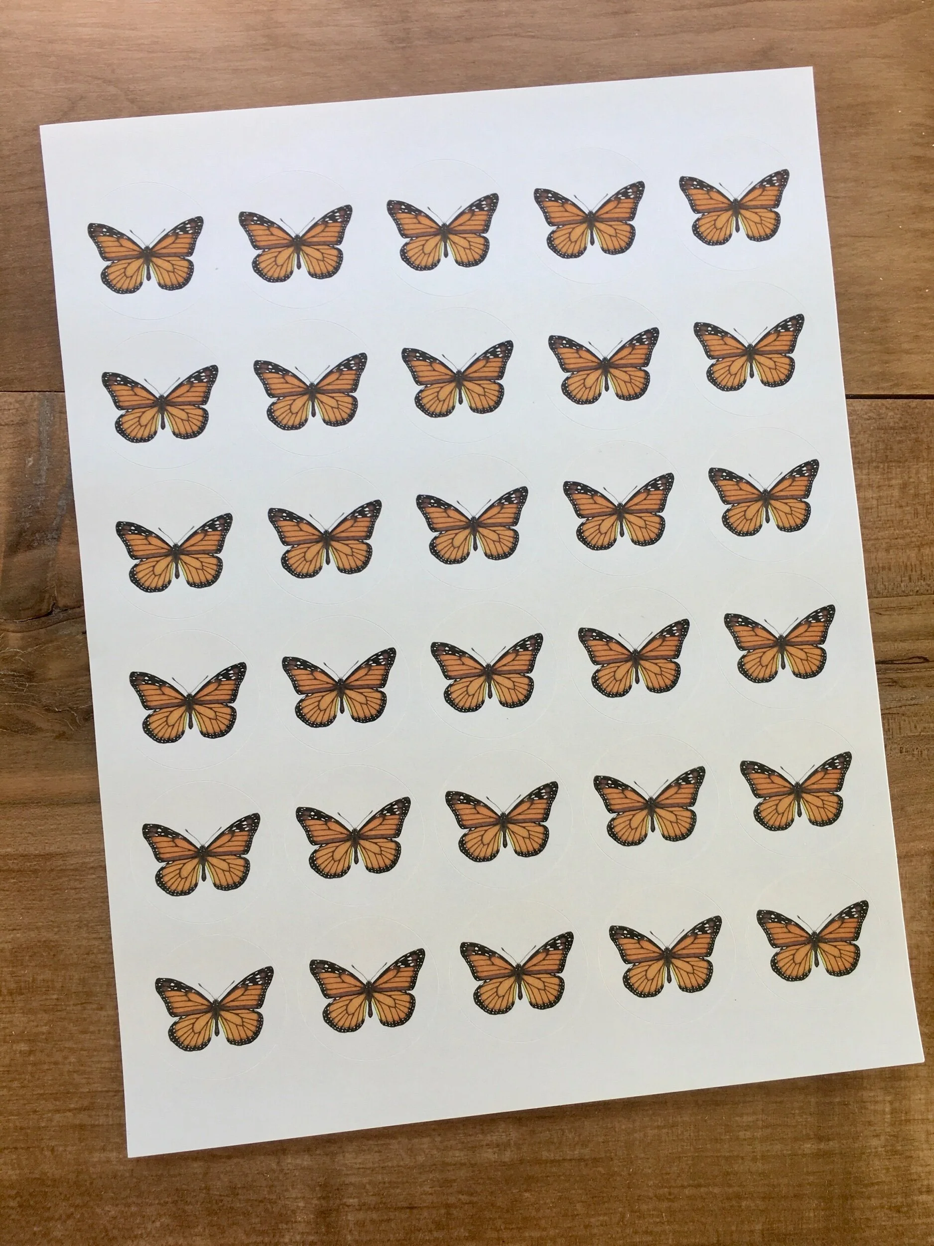 DCD7C131-A14D-45FF-8F86-F5E5DD06C75A