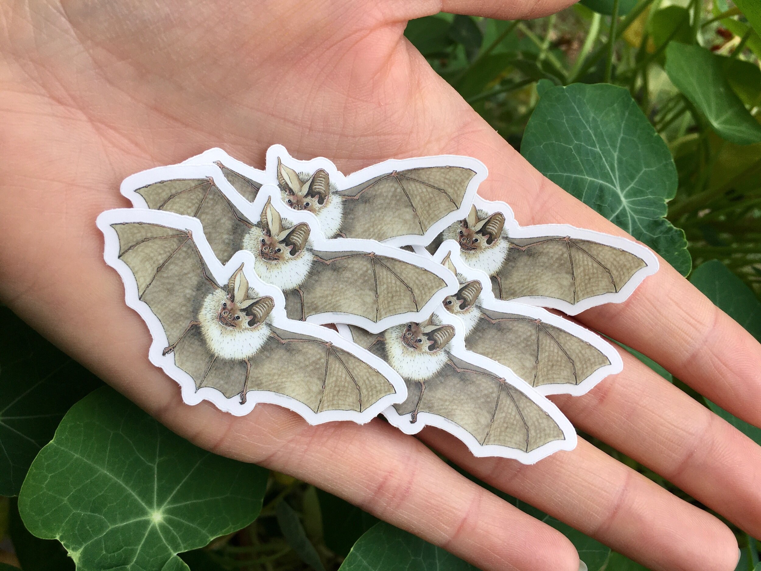 54859995-AAC5-43B0-AF4E-DE7C7D81BCC0