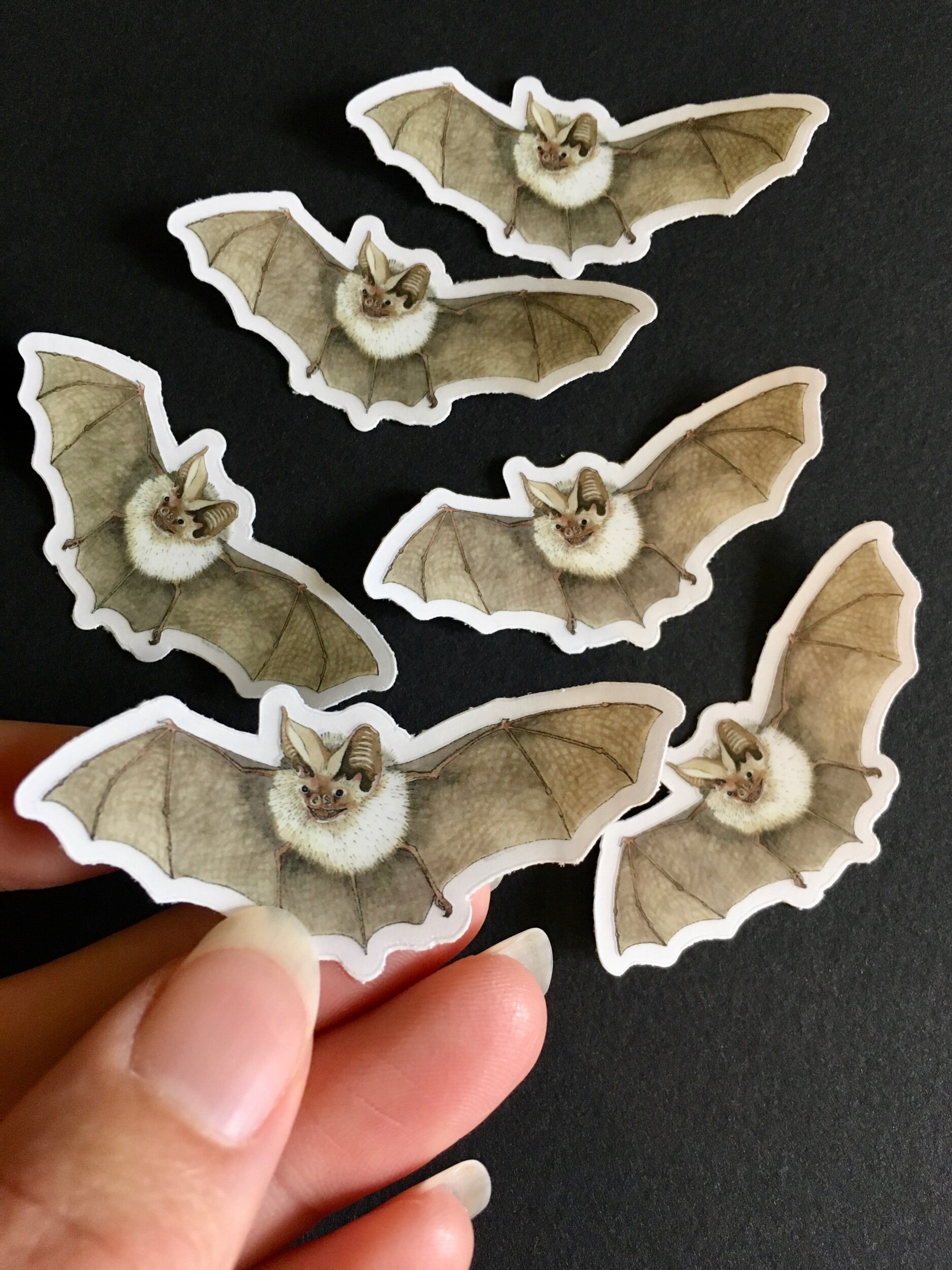 02BCC78D-41AC-4315-982D-0EA9ABFD3A29