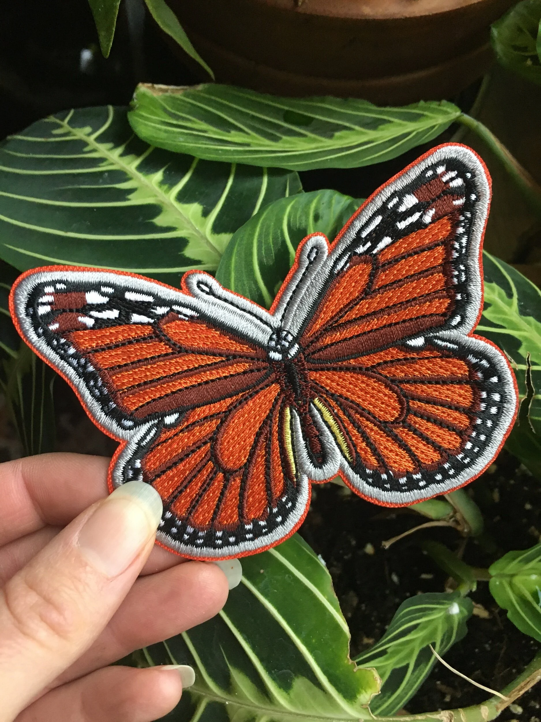 A02C5154-7AF8-4F35-A706-5FD3C56D2E83