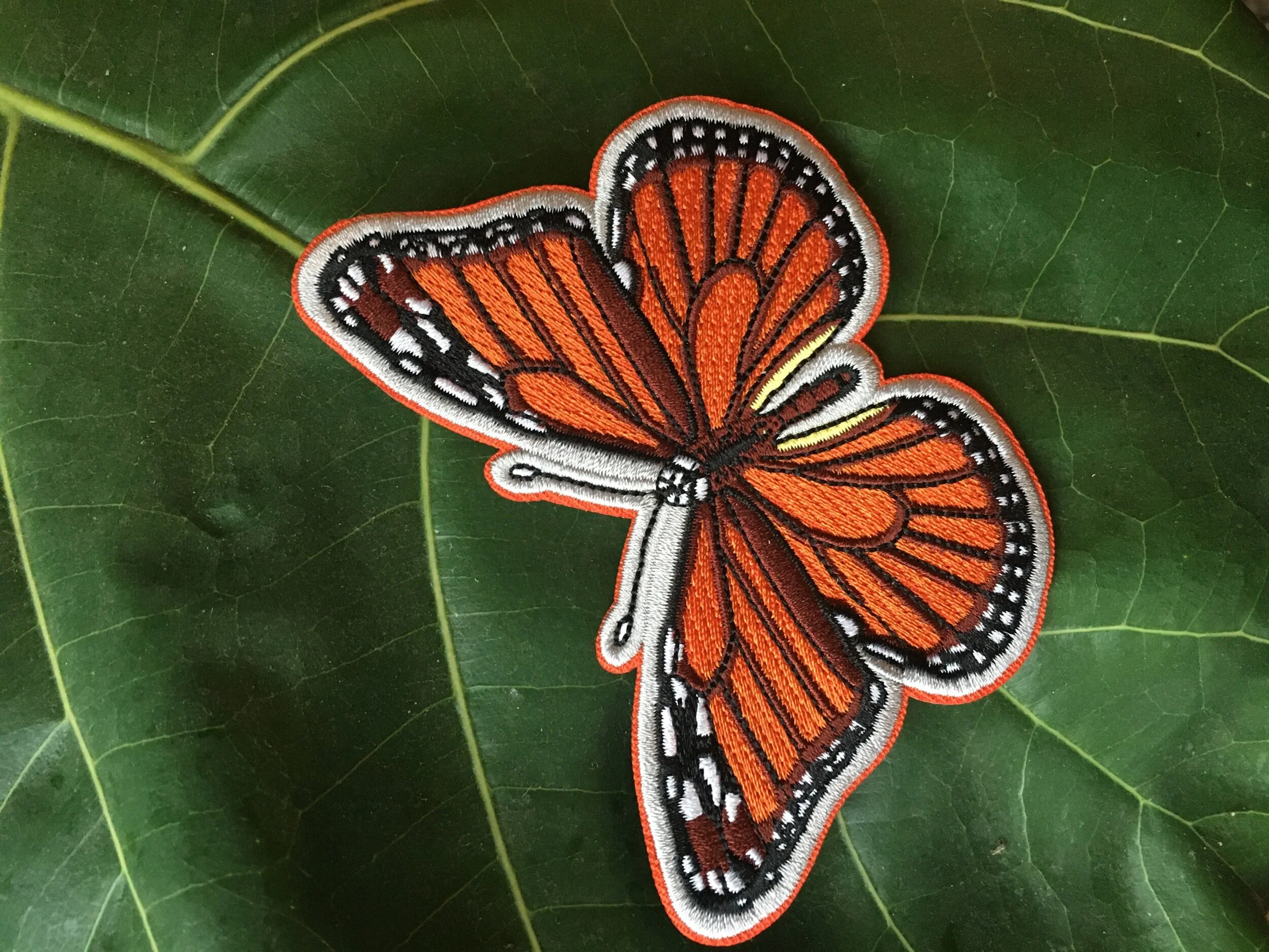 AFE52019-6C15-4C1C-957E-23C838CED3D6