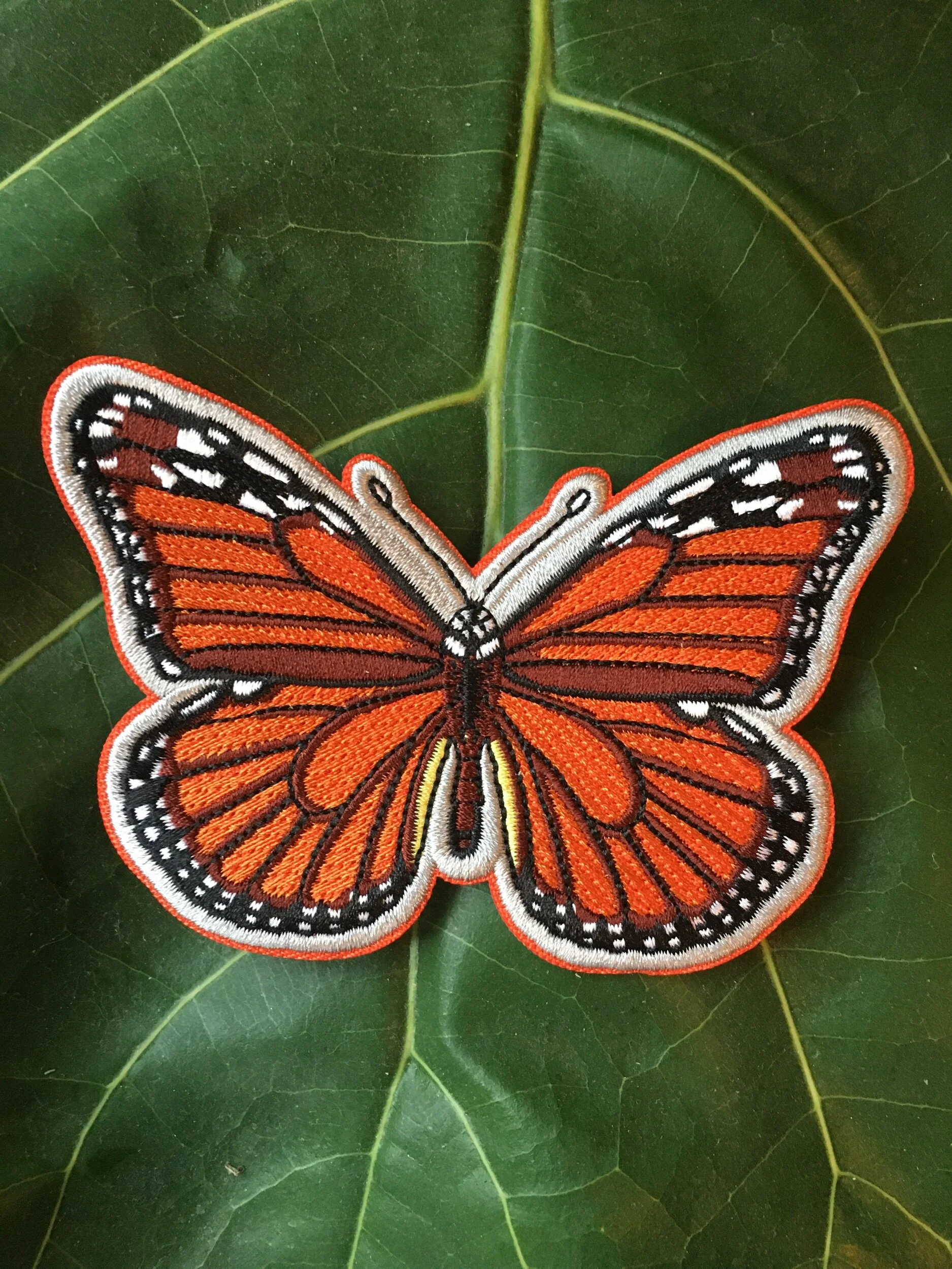 64EF461A-4765-42FD-B77B-EB9519887AE7