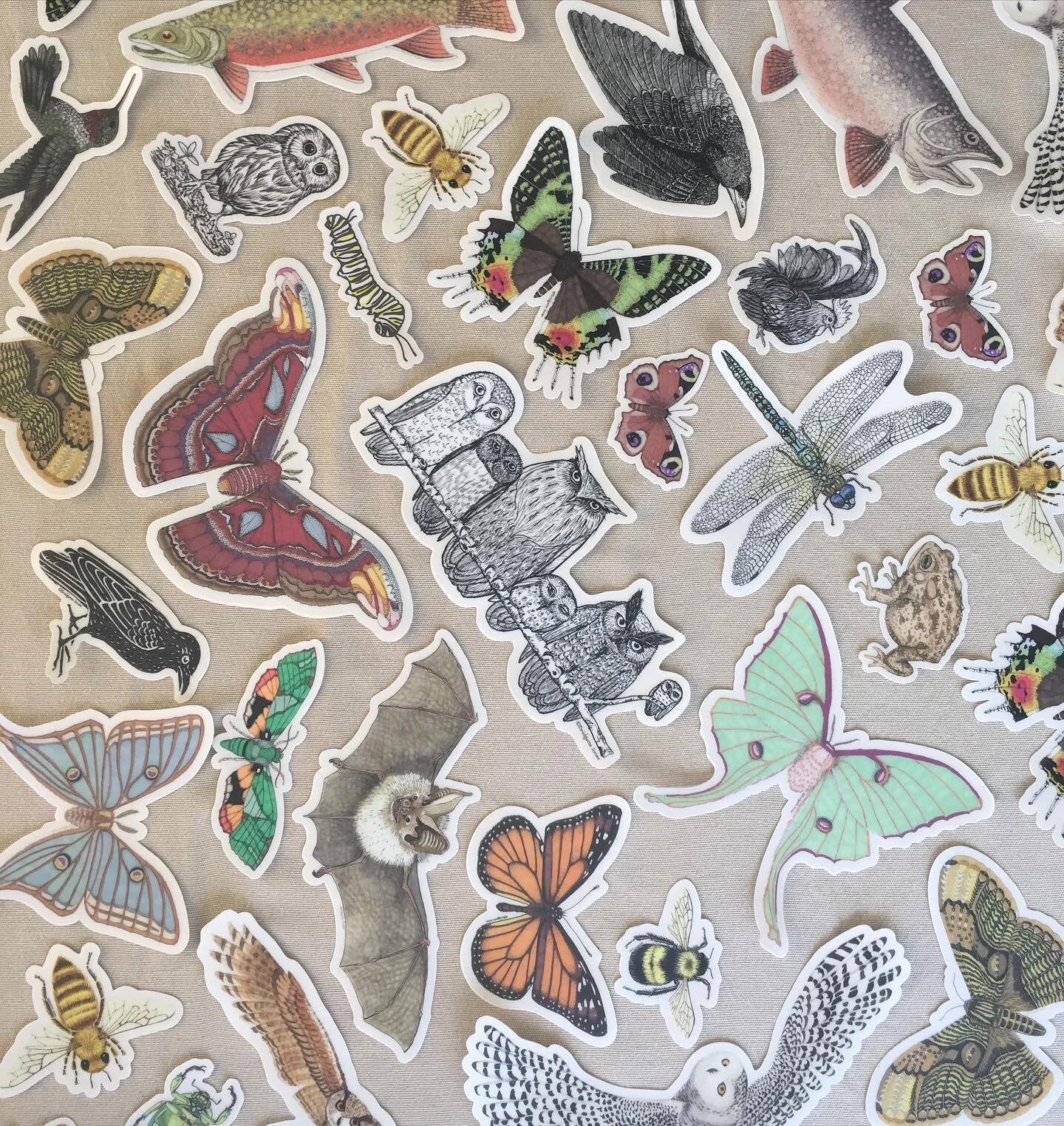 A1DD4ACE-FAC8-4295-B460-DA8DF4C3ACF3