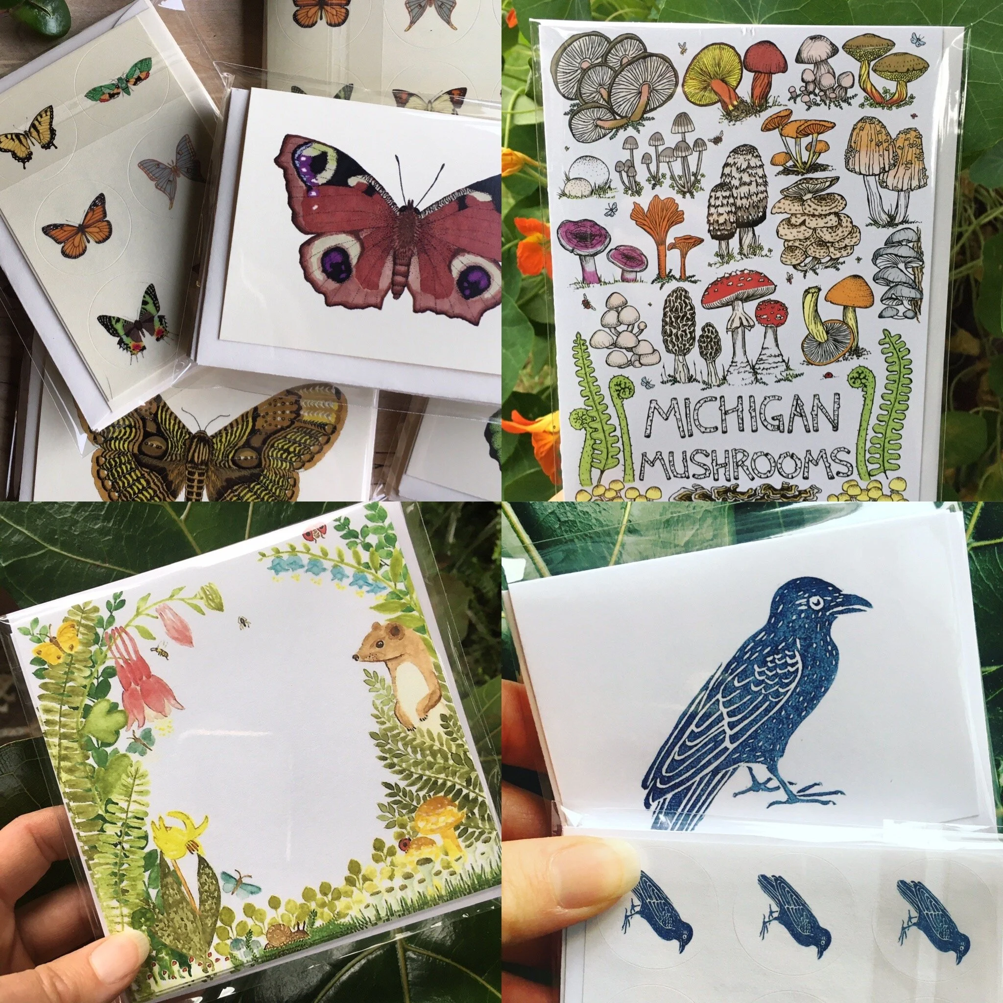 E2109685-1AA8-4DD6-B431-598703B00ED2