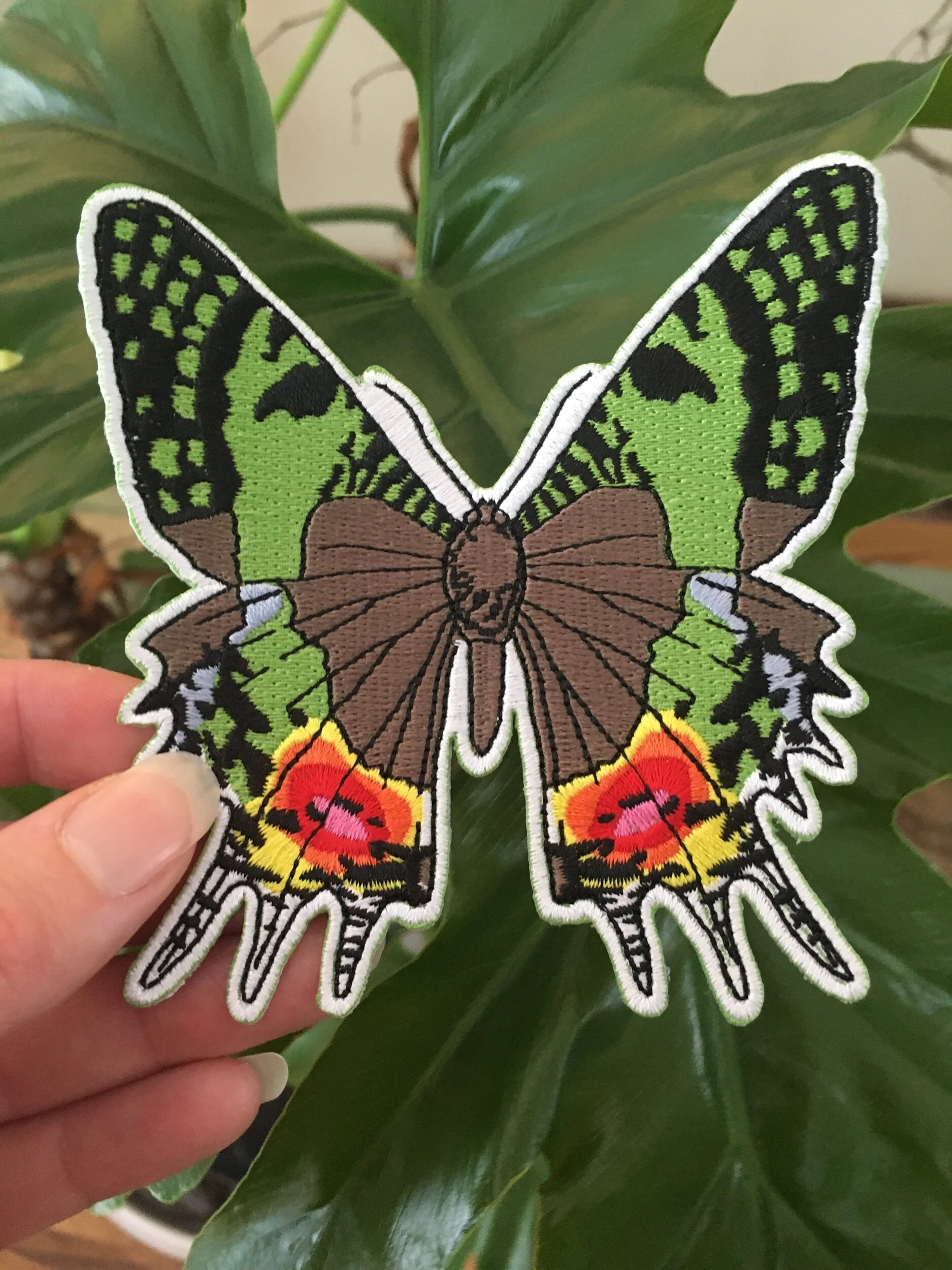 438EA41D-0DAF-40BD-A747-44B451ABD1FA