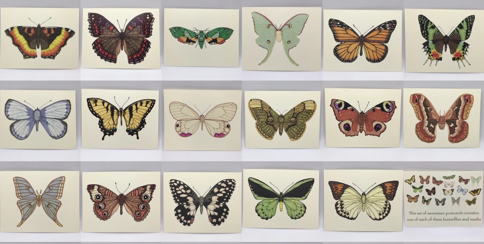 C9E99C09-53B5-4368-B754-F462E01944FE