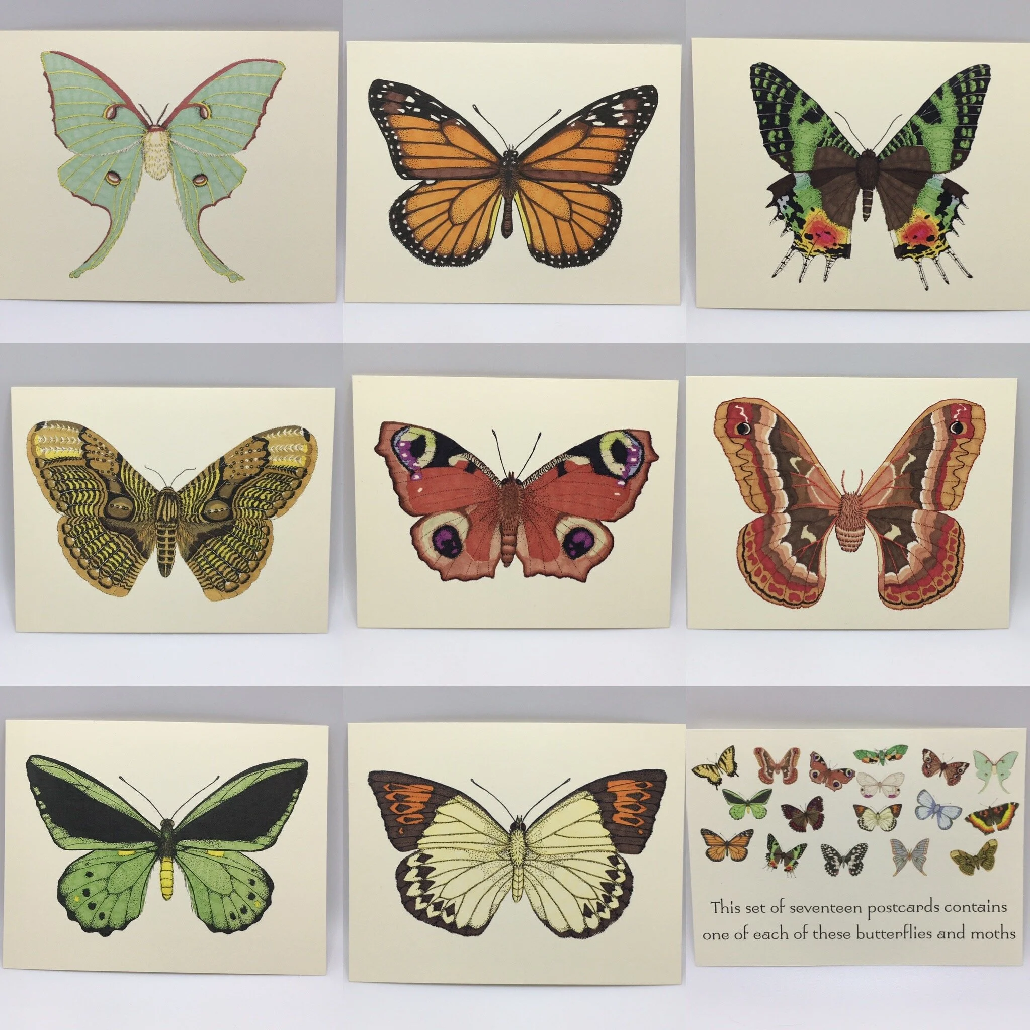 A878F8AF-A0EF-4CA9-89D0-7B4DA98C4C0C