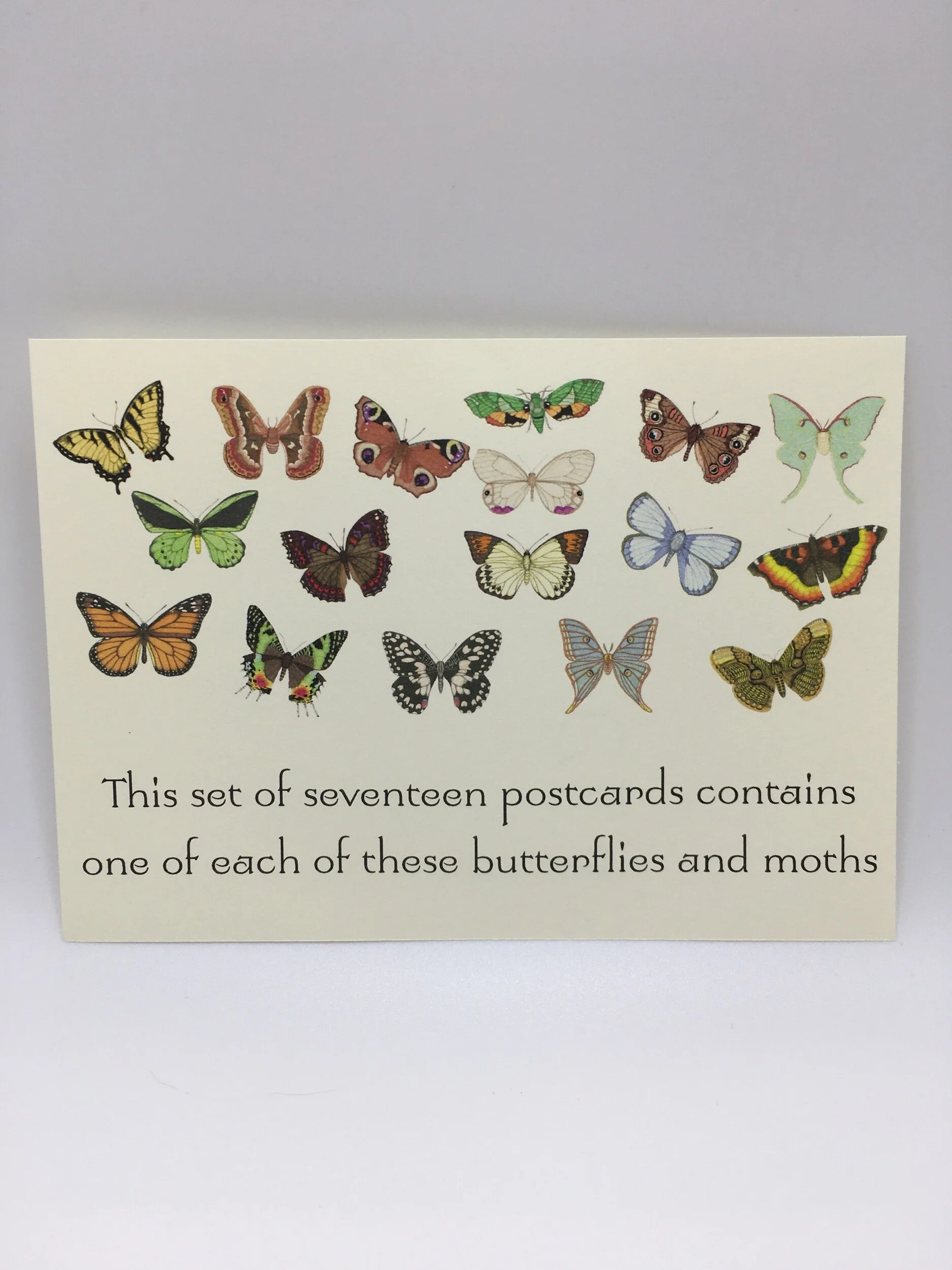 DA1DF9DF-17E6-4D0D-A7E6-53F707CBF0E1