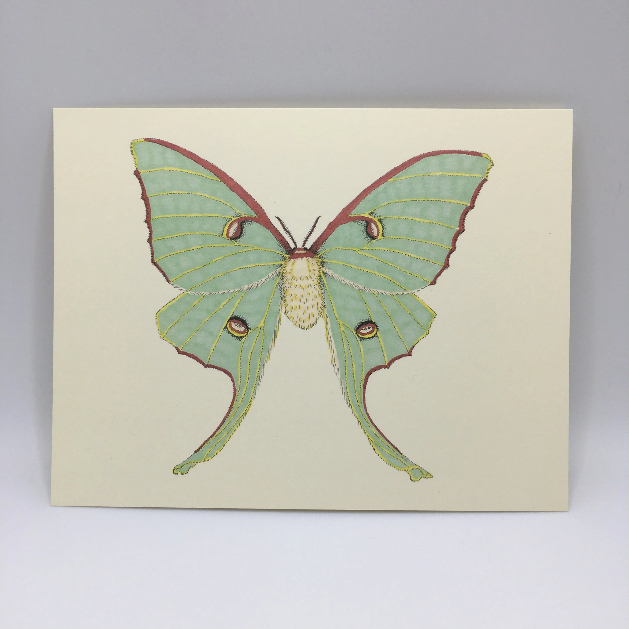 00954335-2016-4237-9013-0AAC0CF3D372