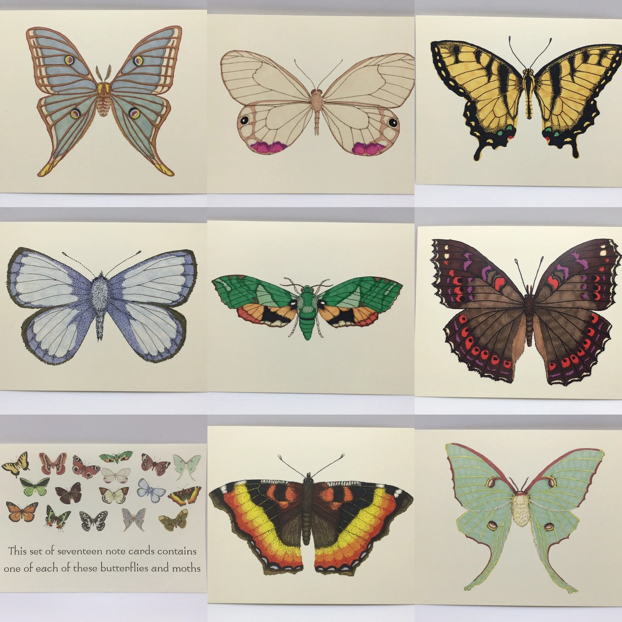 2442B53B-0139-42B3-8835-C97514F253C1