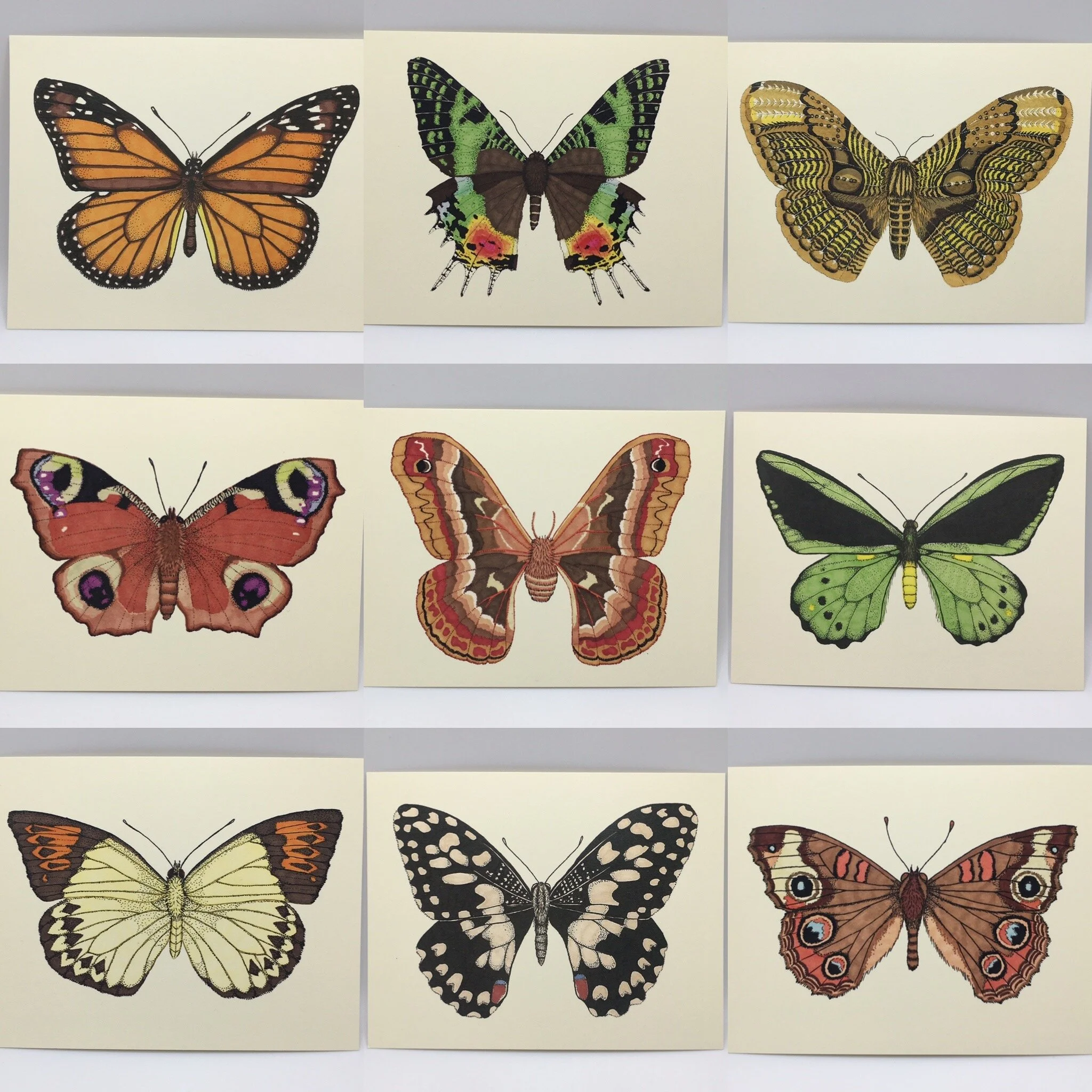 FB47C295-95B2-4505-A058-575724E124F8