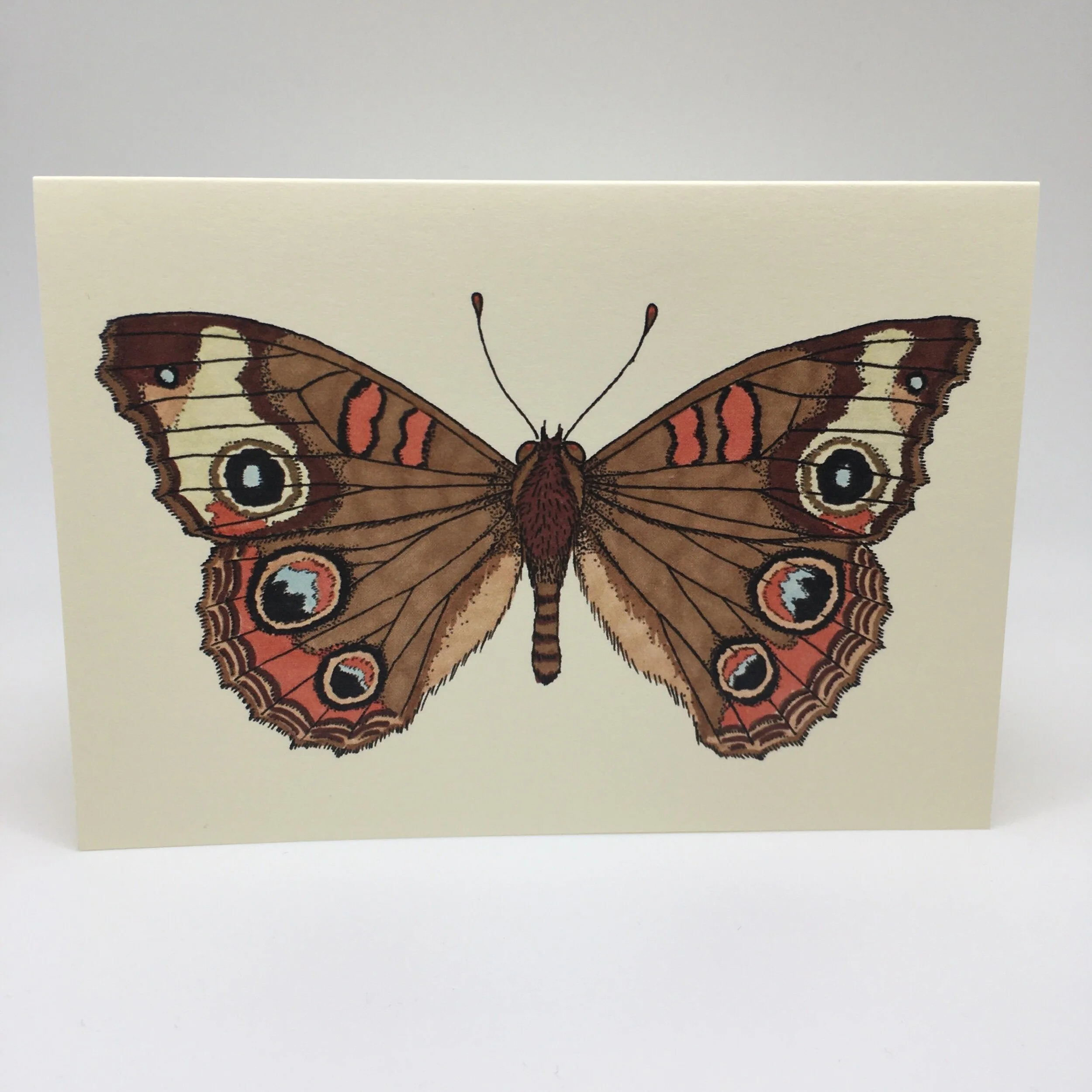 2C3C5277-C010-440F-9690-960D33F13CF9