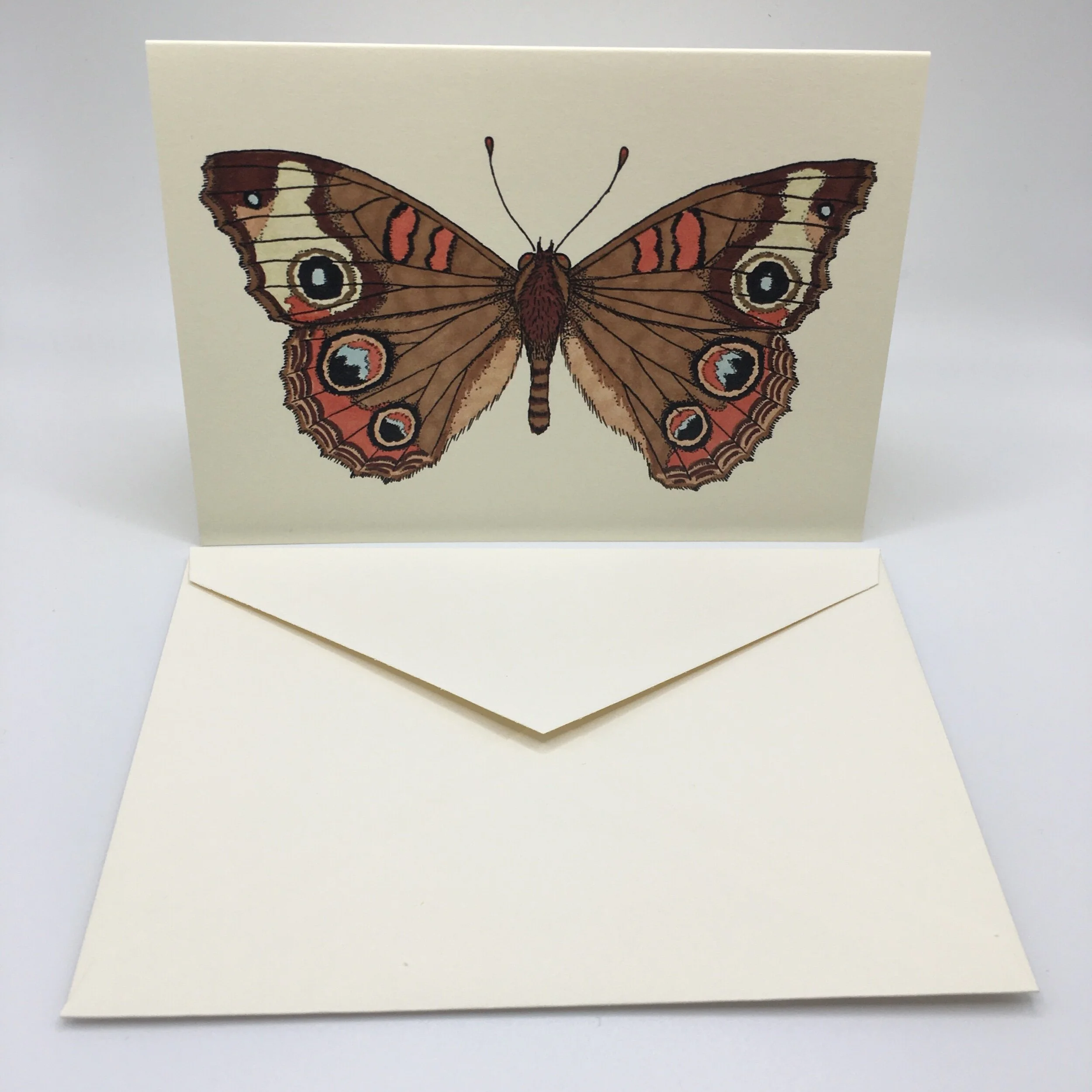 D8ABABA7-3DDF-409C-8C32-1A06A6945743