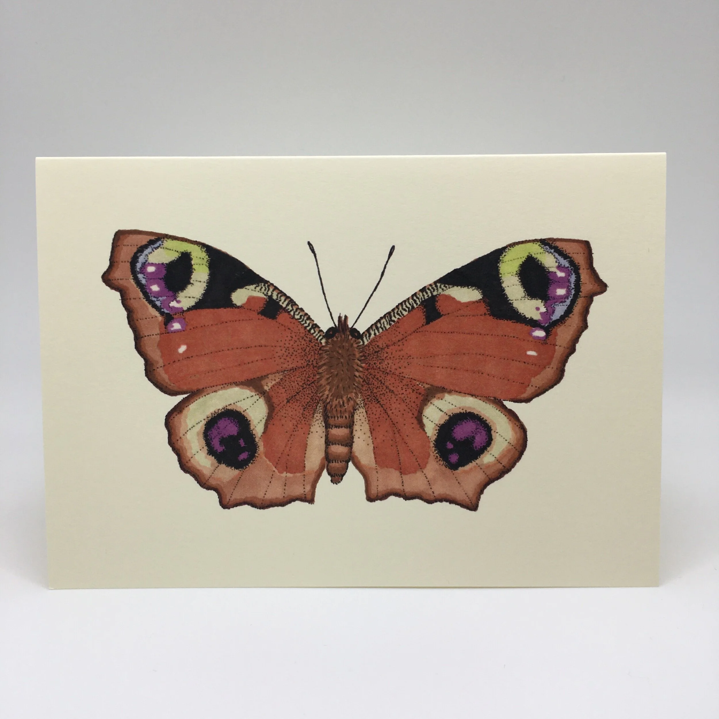 A7DBFB30-03B6-413E-8ABF-5C79BB99A264