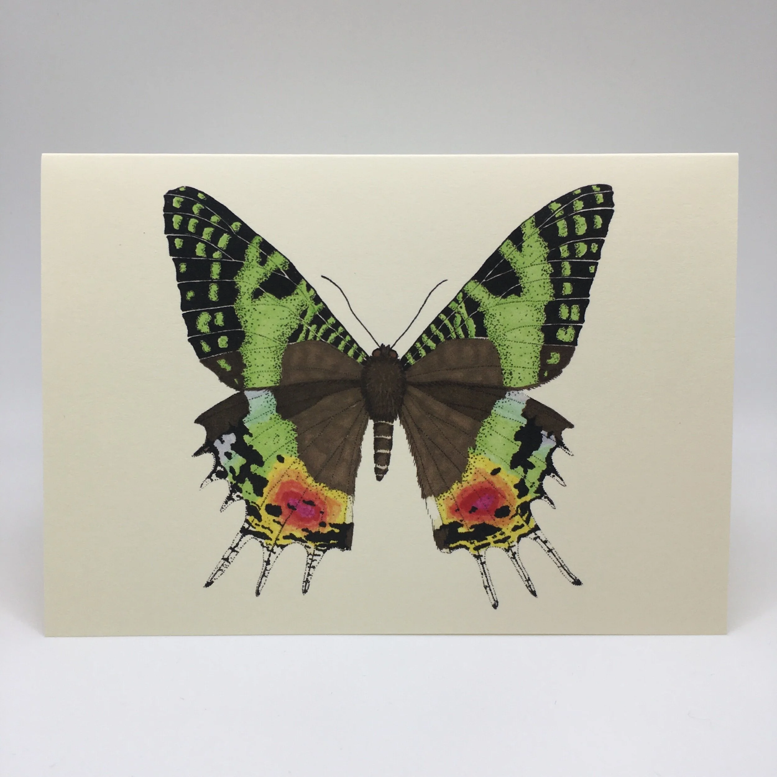 2FE1A1A4-74BF-4959-9A9F-C05BAF541102