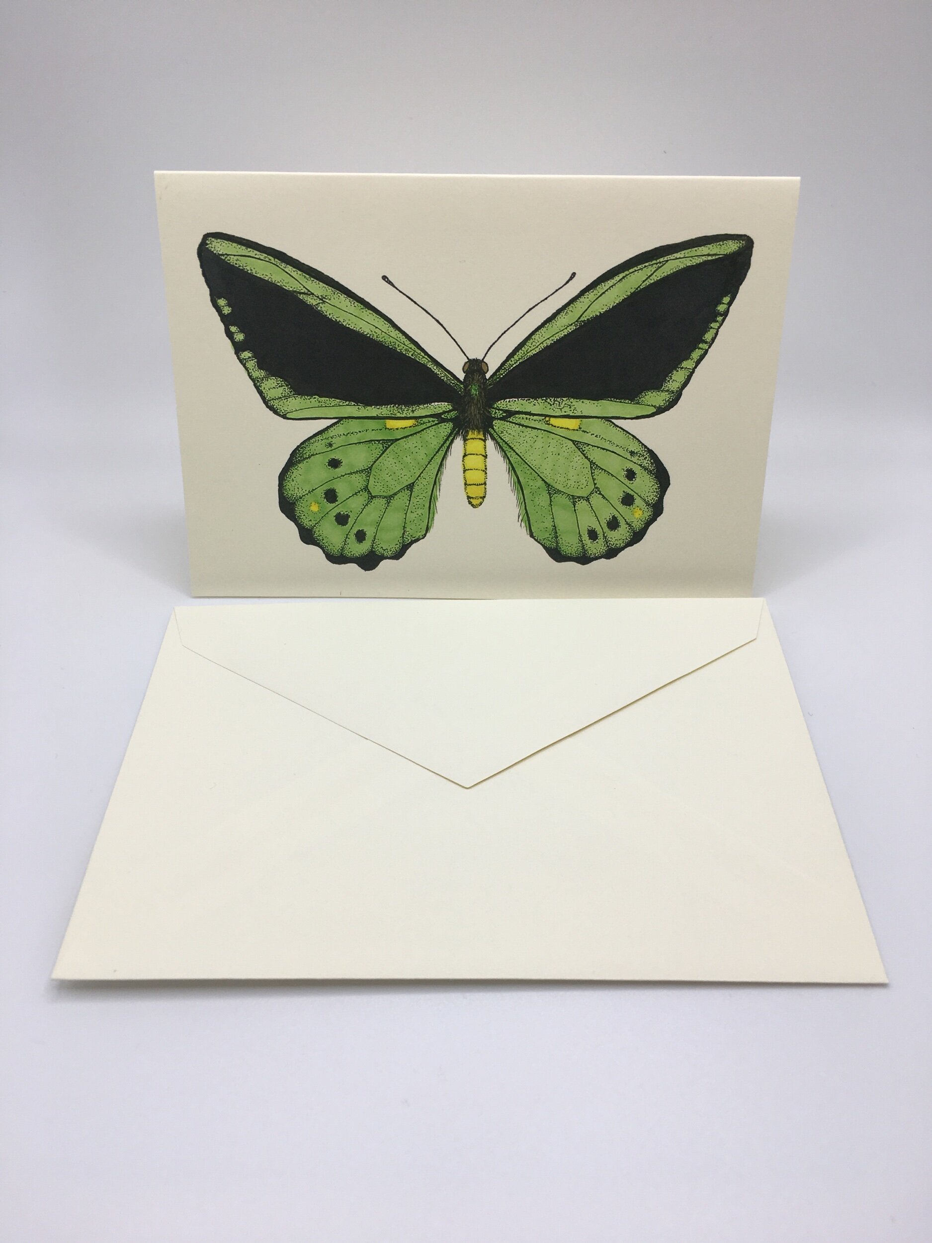 D82066E2-1D20-403E-9BDC-EAE7E5513522