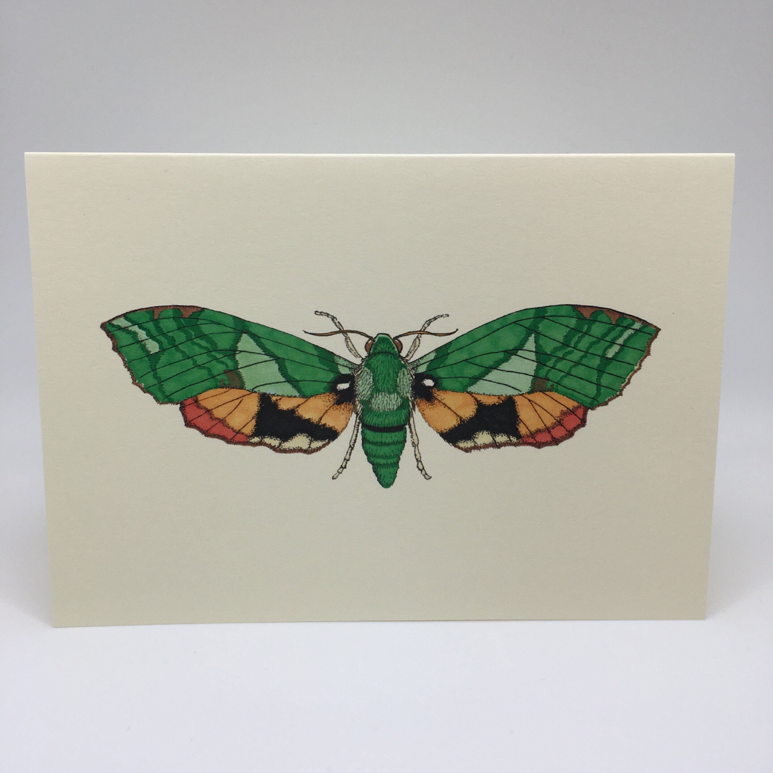 12E852F6-F5F4-4EA4-B5B5-96E304684ACA