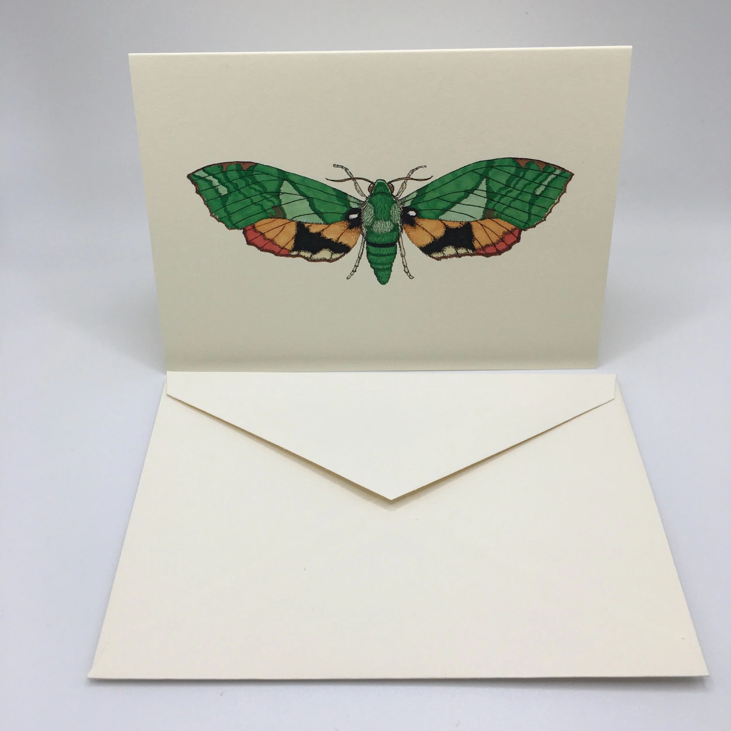 50CFB8CF-669D-4F4E-BF6F-7DE99F85894B