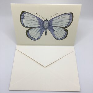 Mini Pocket Note Cards - You're Amazing (Butterfly) — Sweet Pea Cole